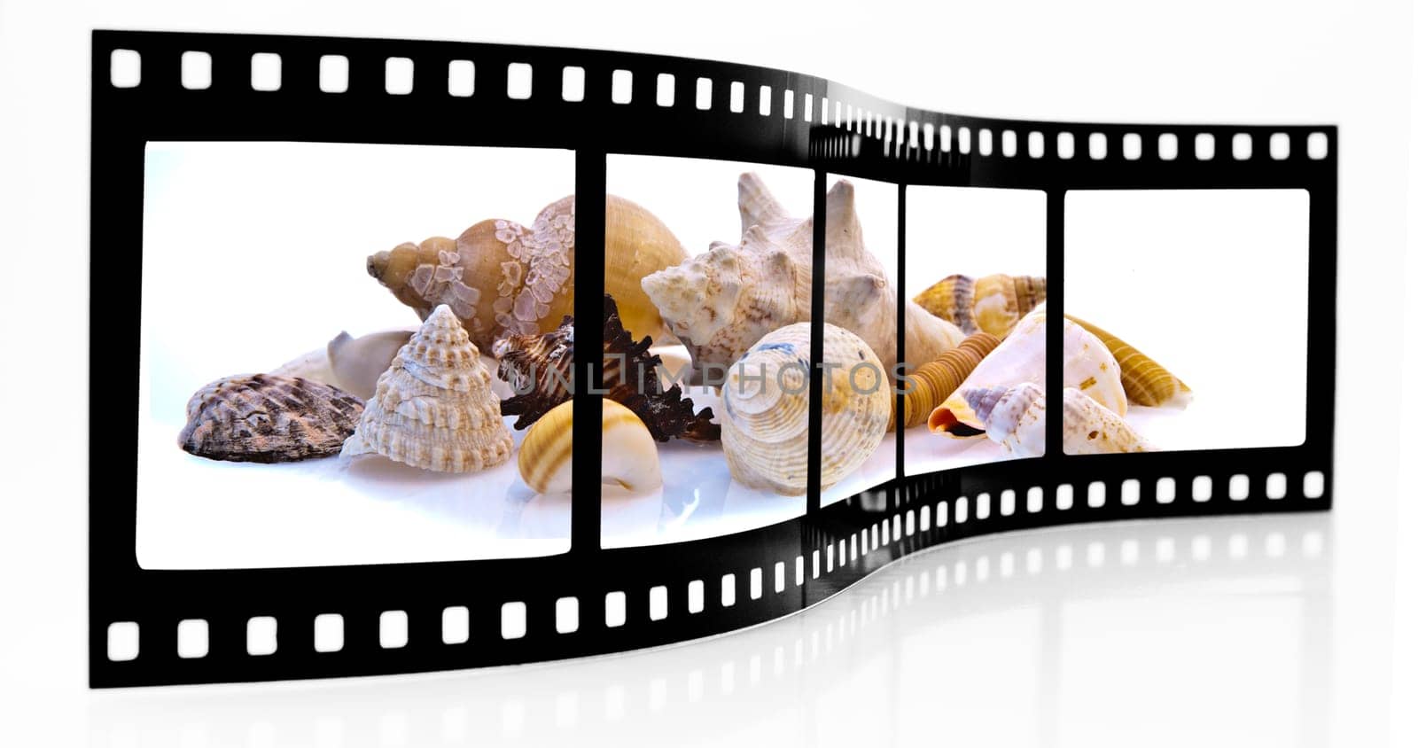 Shell film strip