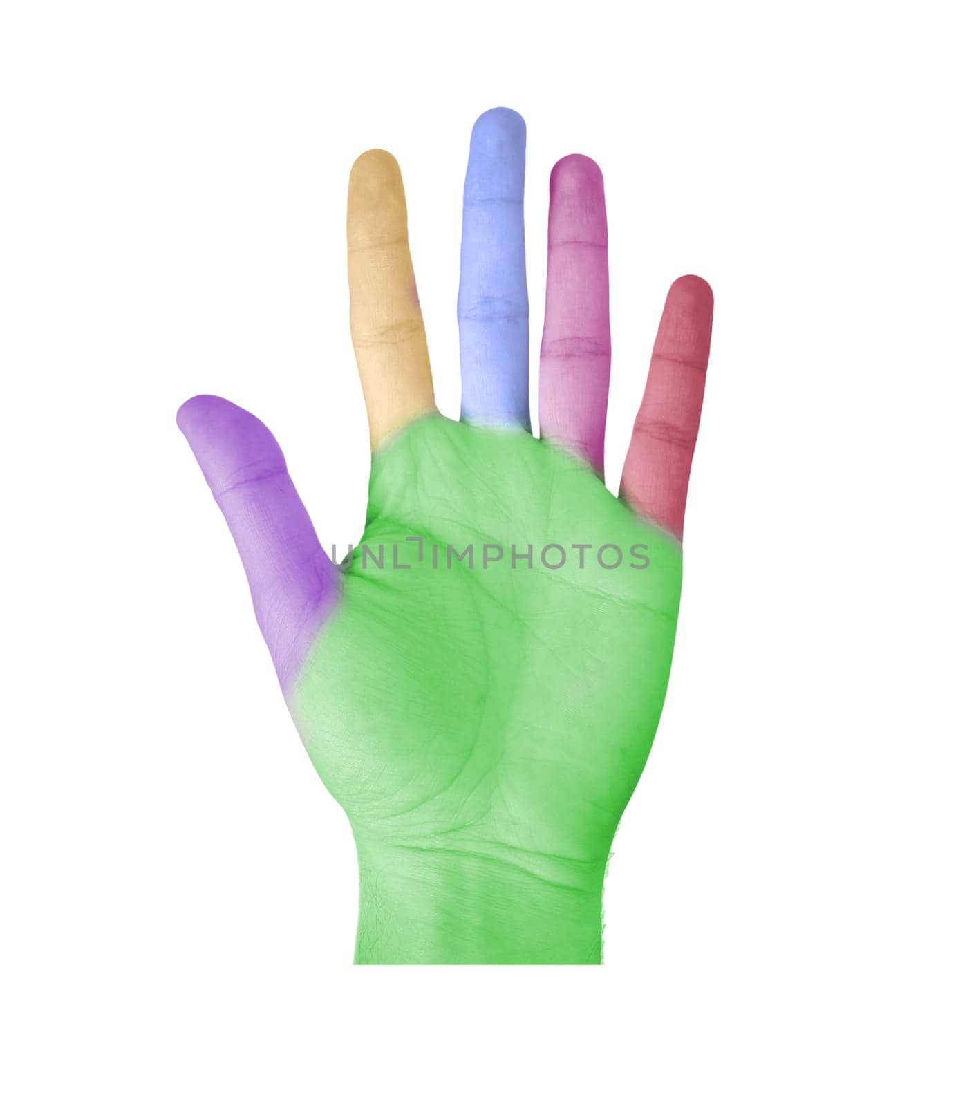 Color hand of a man isolated on a white background