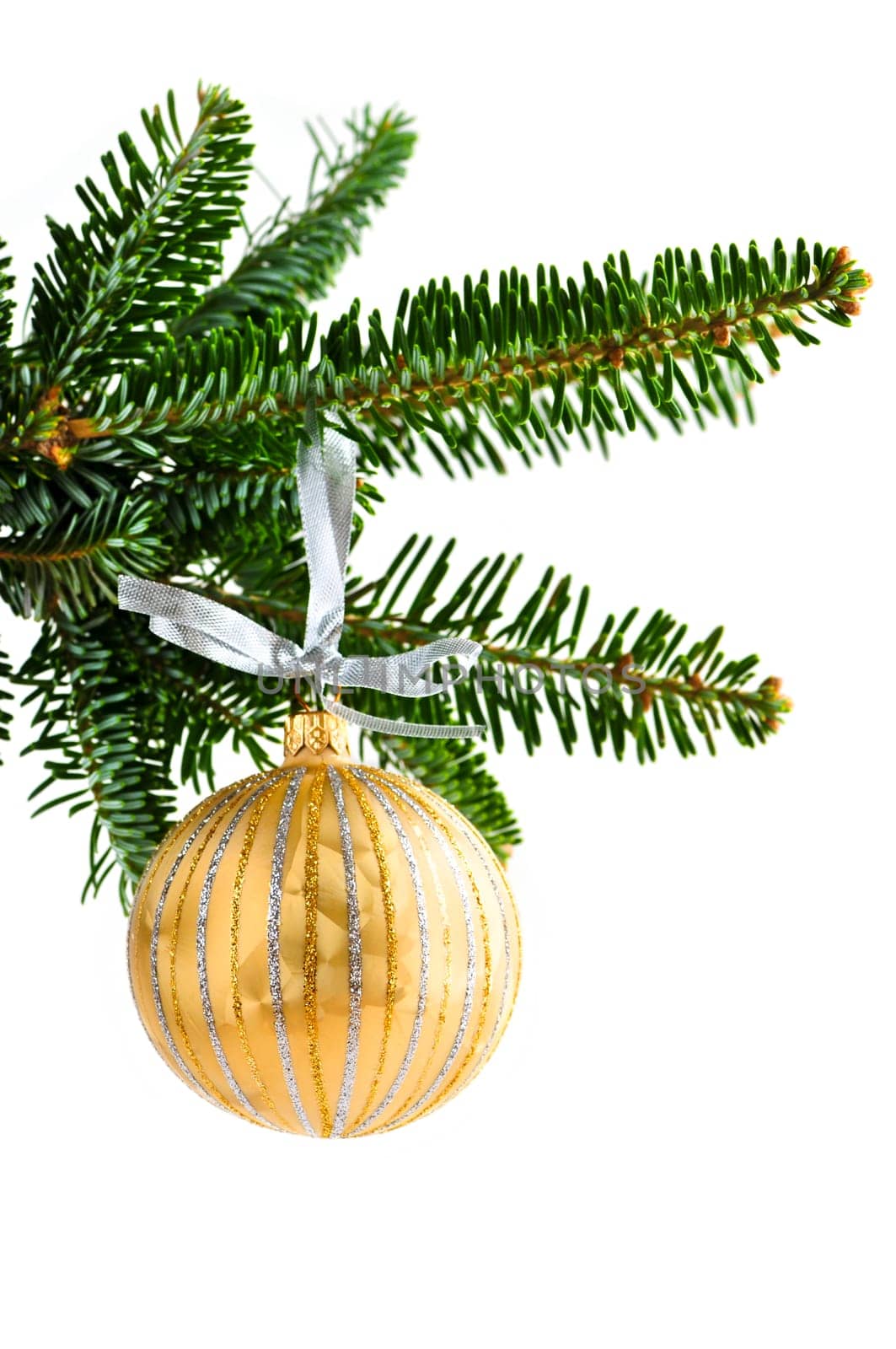 Golden Christmas decoration hanging on pine branch isolated on white