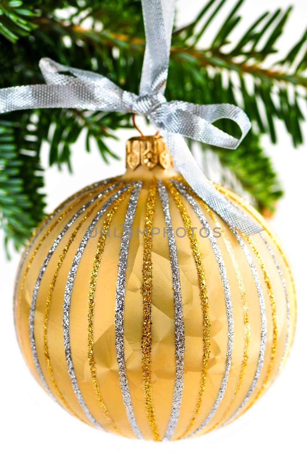 Golden Christmas decoration hanging on pine branch isolated on white