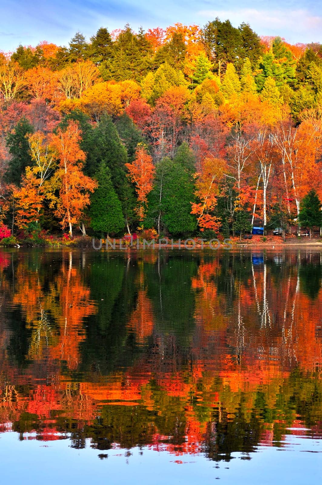 Forest of colorful autumn trees reflecting in calm lake