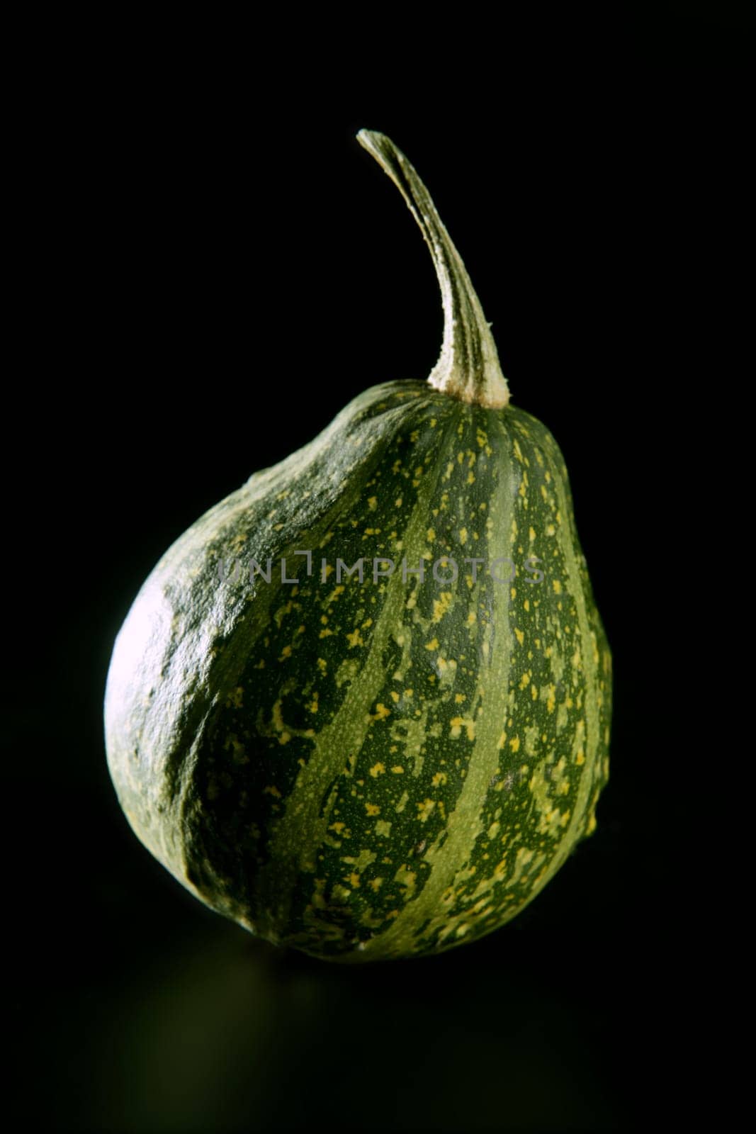 Green little halloween pumpkin isolated on black background