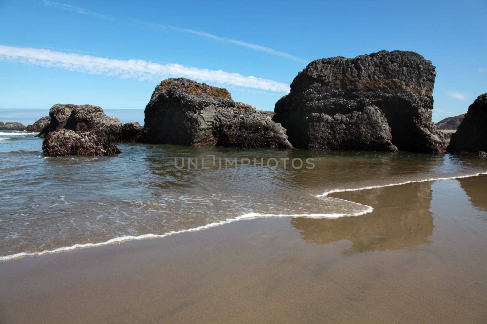 Rocks in the sand on the beautiful Oregon coast