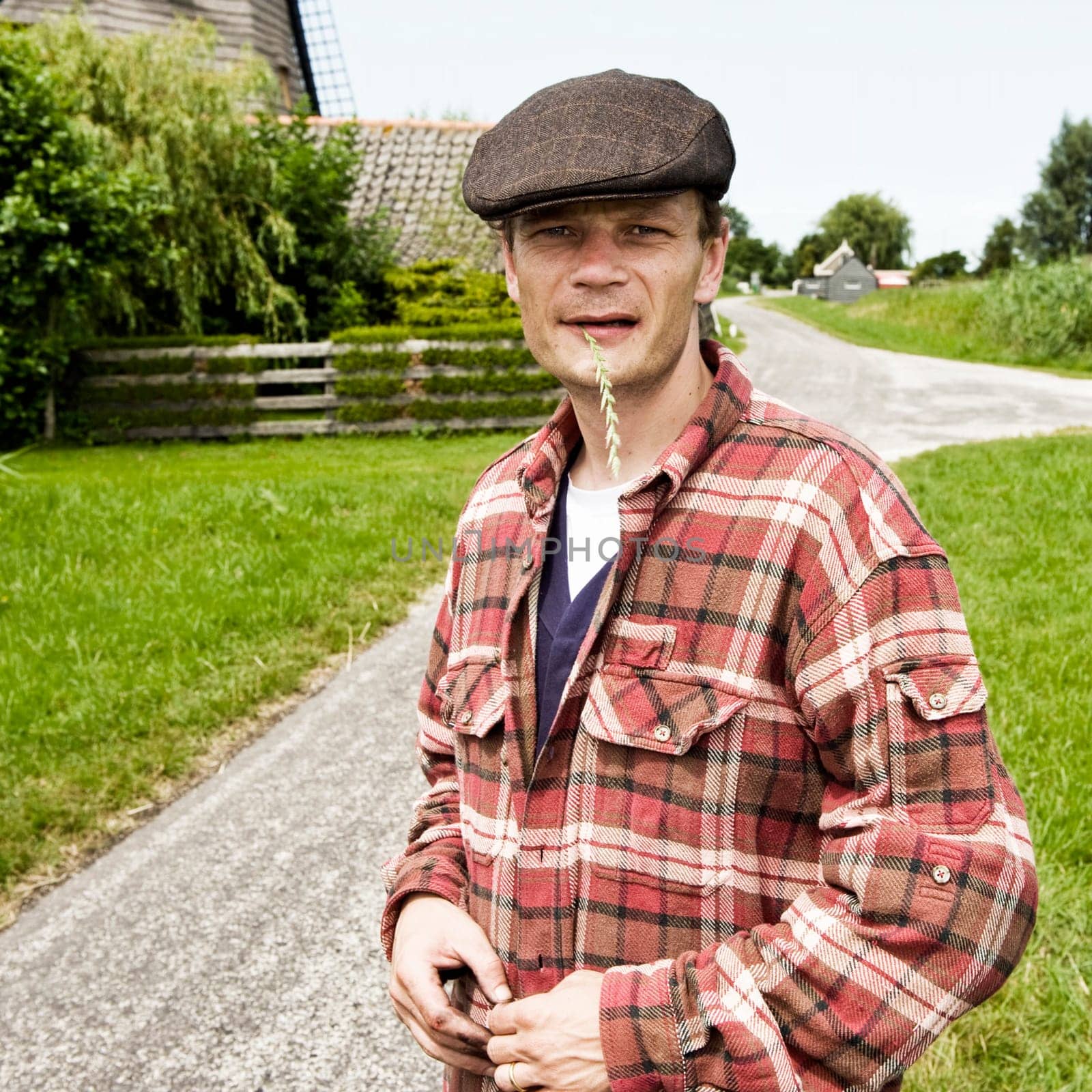 Portrait of a sturdy looking farmer, wearing a cap, chewing a grass halm