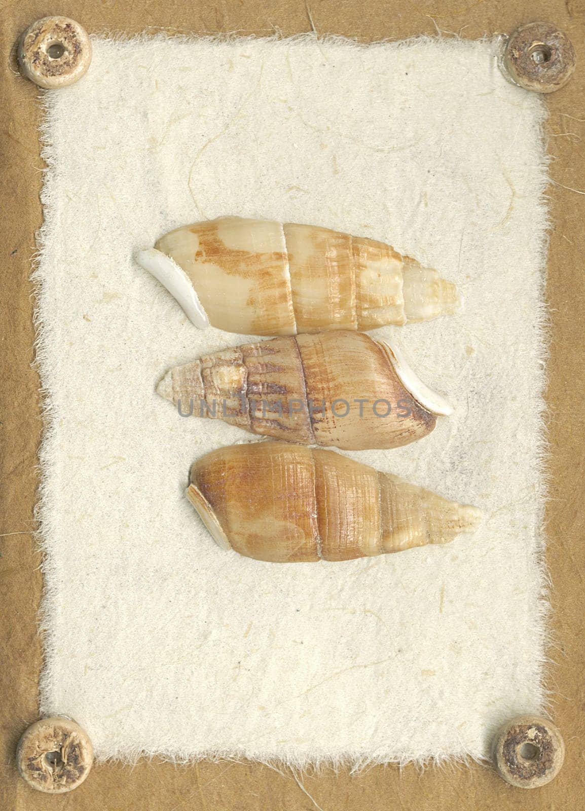 a hand crafted background for scrapbooking and stationery