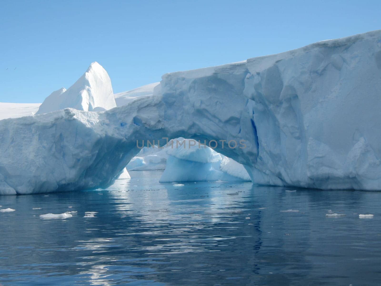 Antarctica