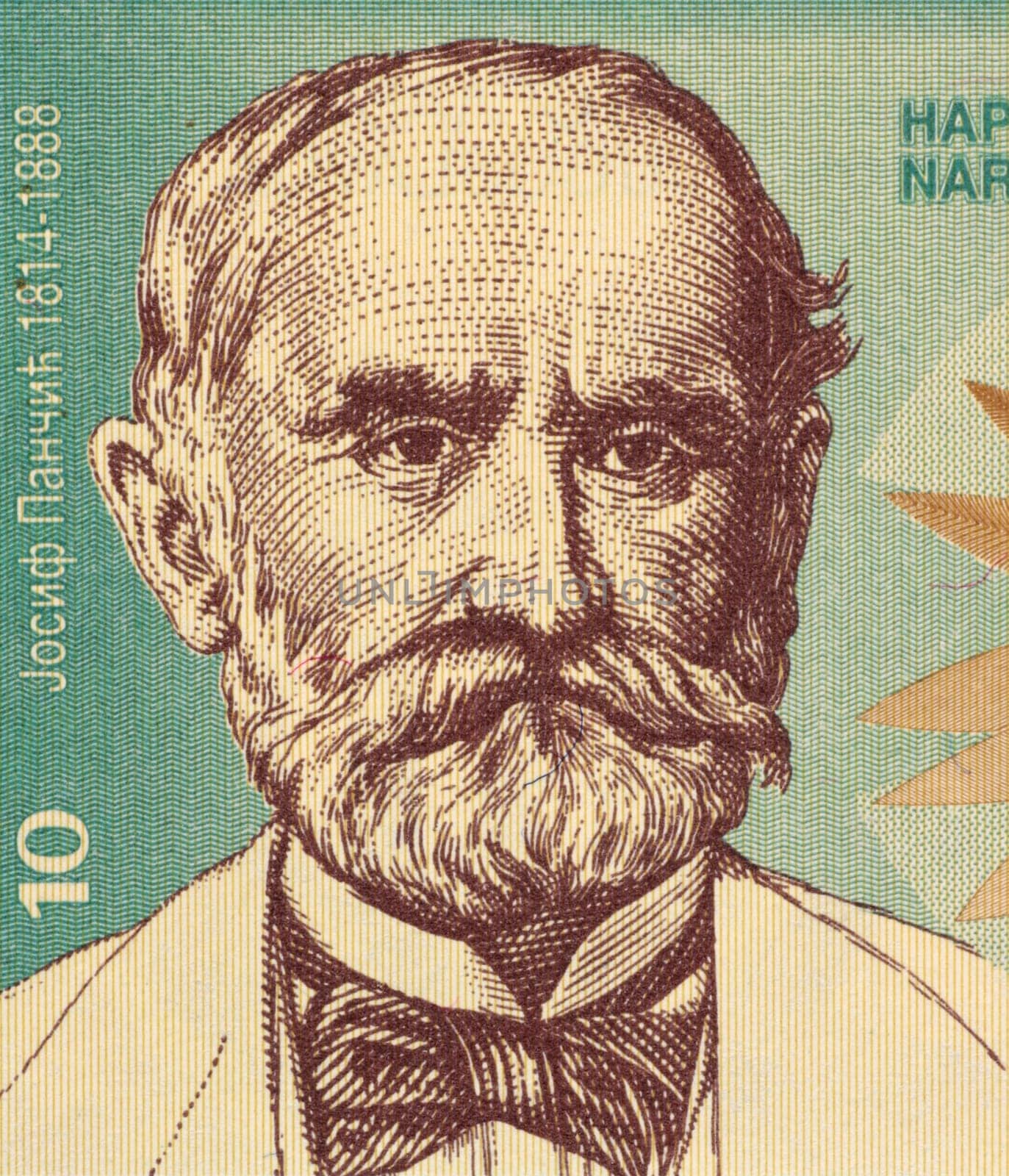 Joseph Panchic on 10 Dinara 1994 Banknote from Yugoslavia