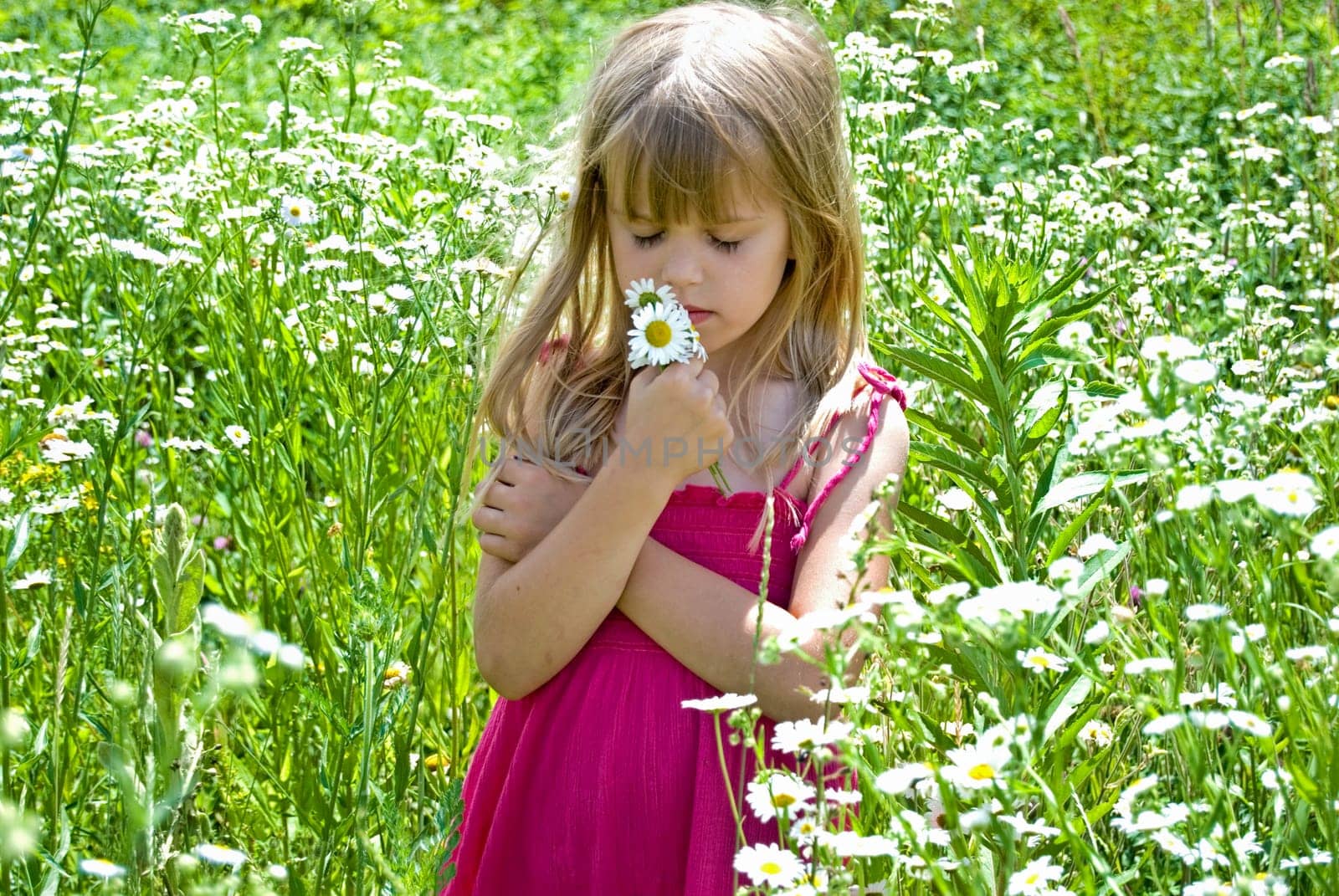 Little girl smelling a bouquet of wild daisies.