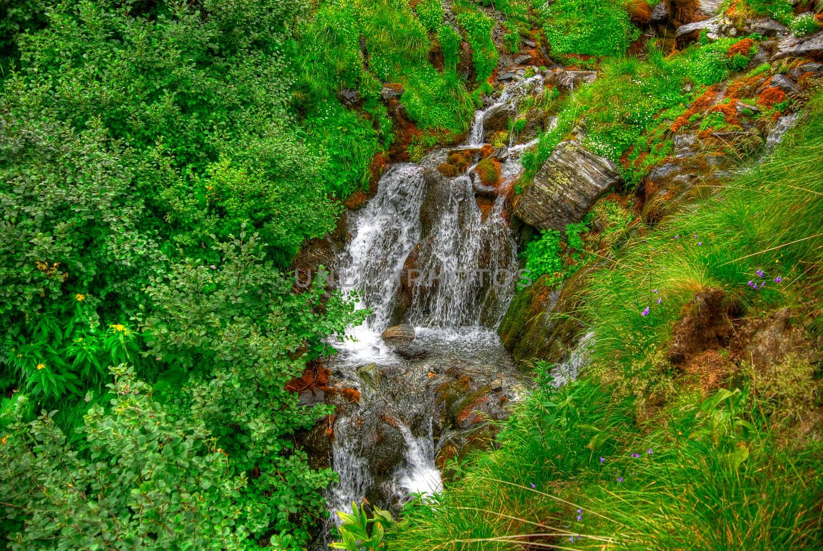 beautiful cascade, next to the trees, in the morning light,  HDR.