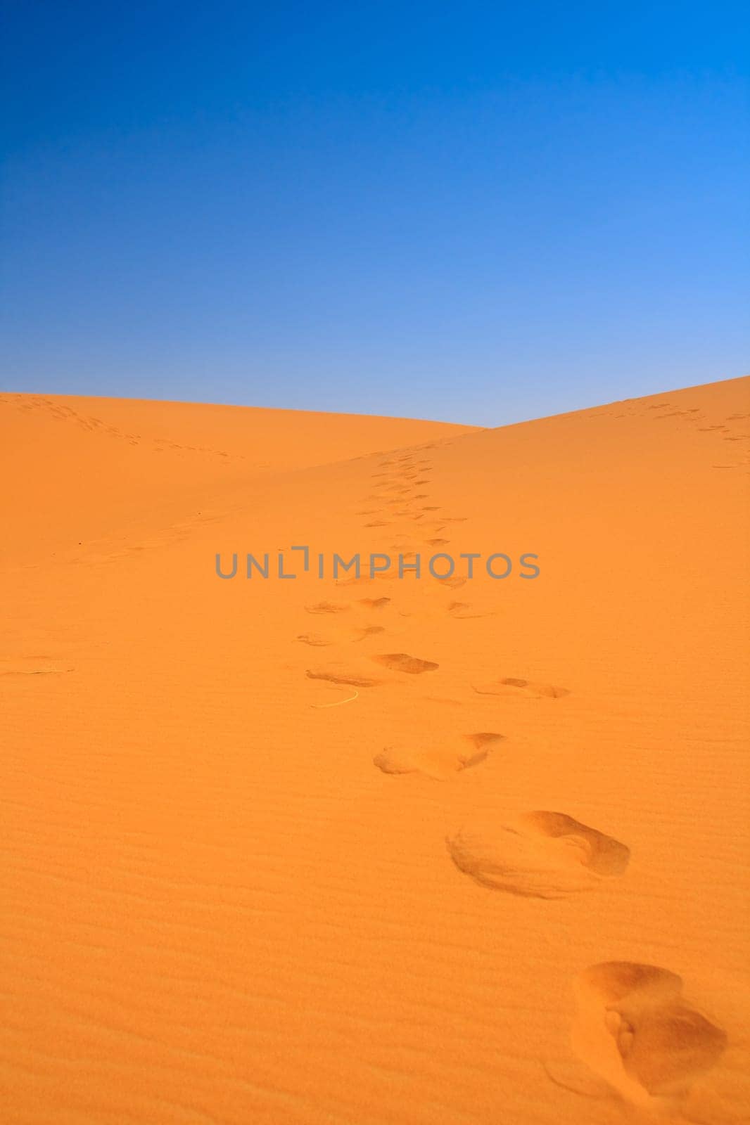 walking on Sahara, Erg Chebbi, Morocco , focus set in foreground
