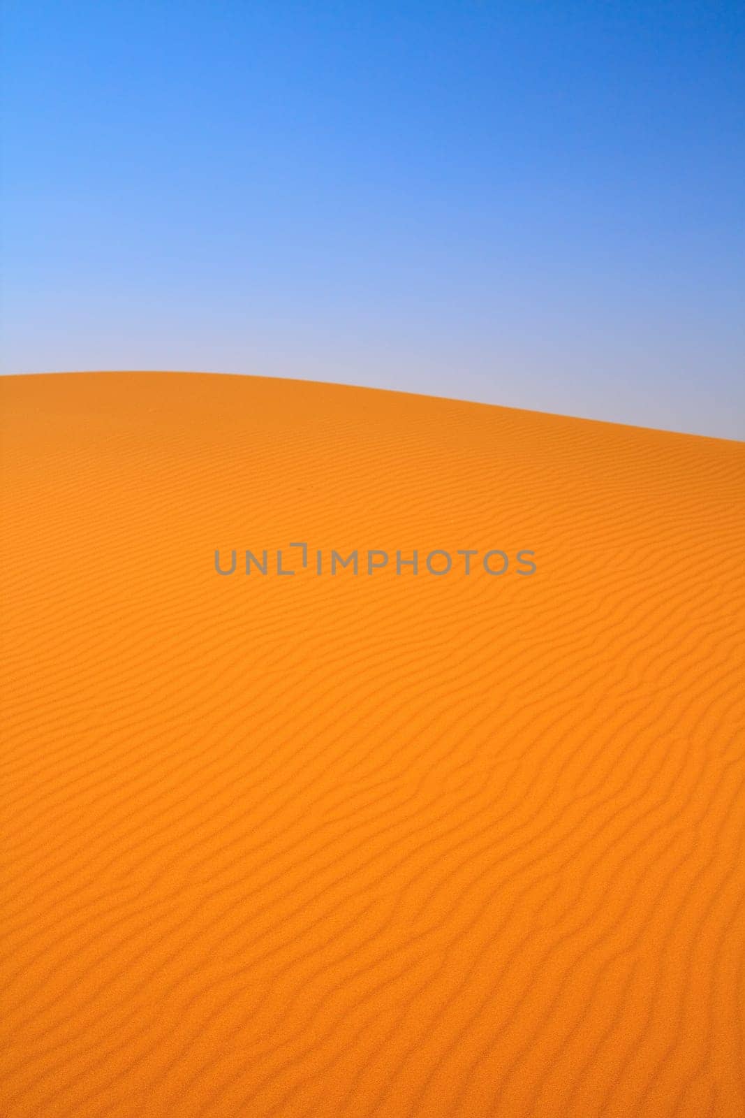 sand dunes and cloudless sky, Erg Chebbi, Morocco, focus set in foreground