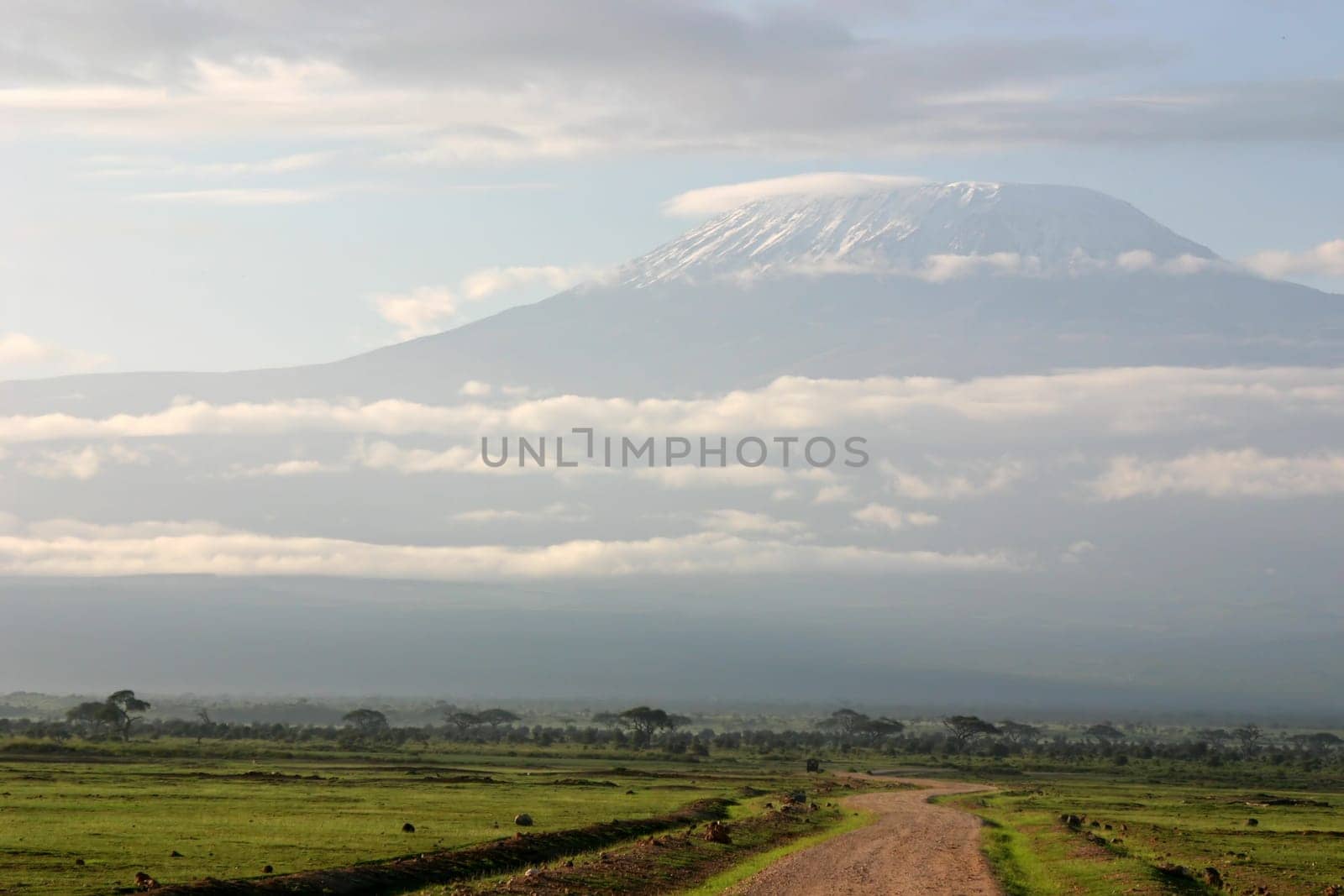 Road to Kilimanjaro in Amboseli Park, Kenya