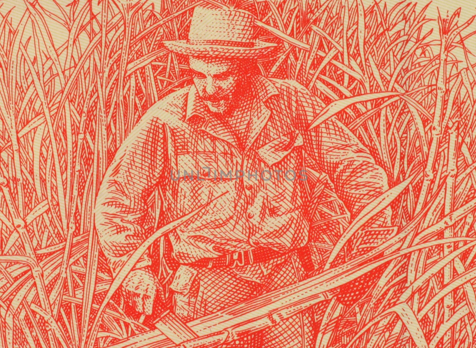 Ernesto Che Guevara on 3 Pesos 2004 Banknote from Cuba