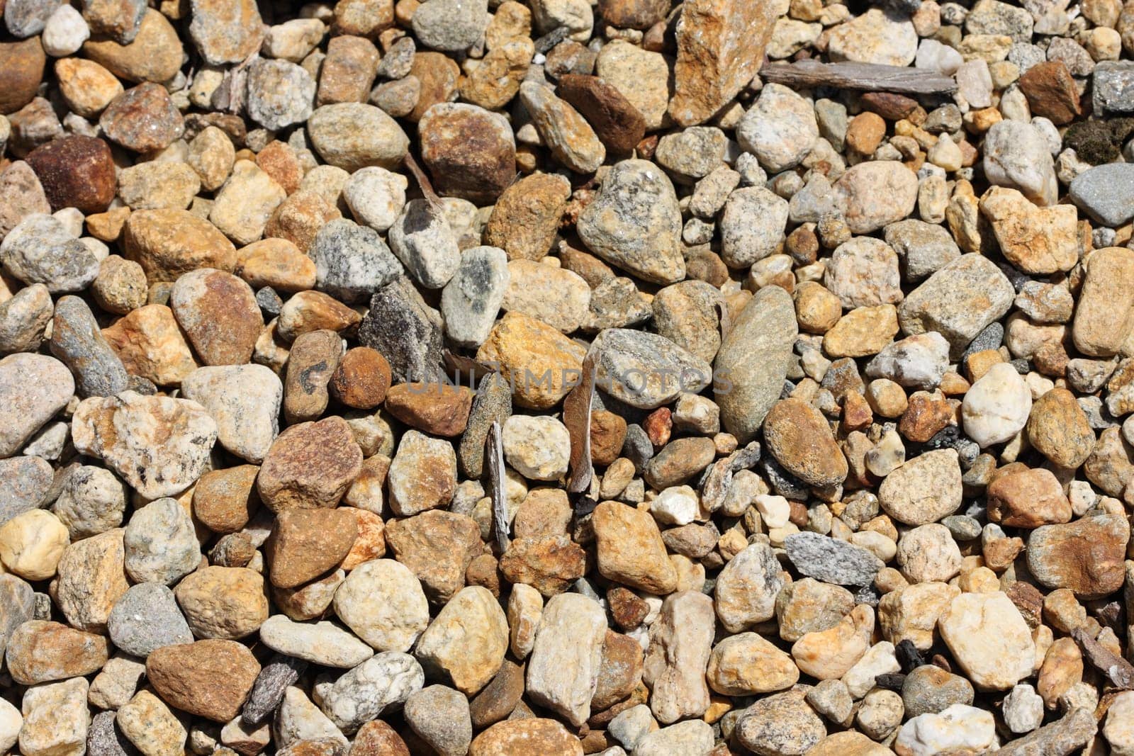A bed of small gravel and pebbles