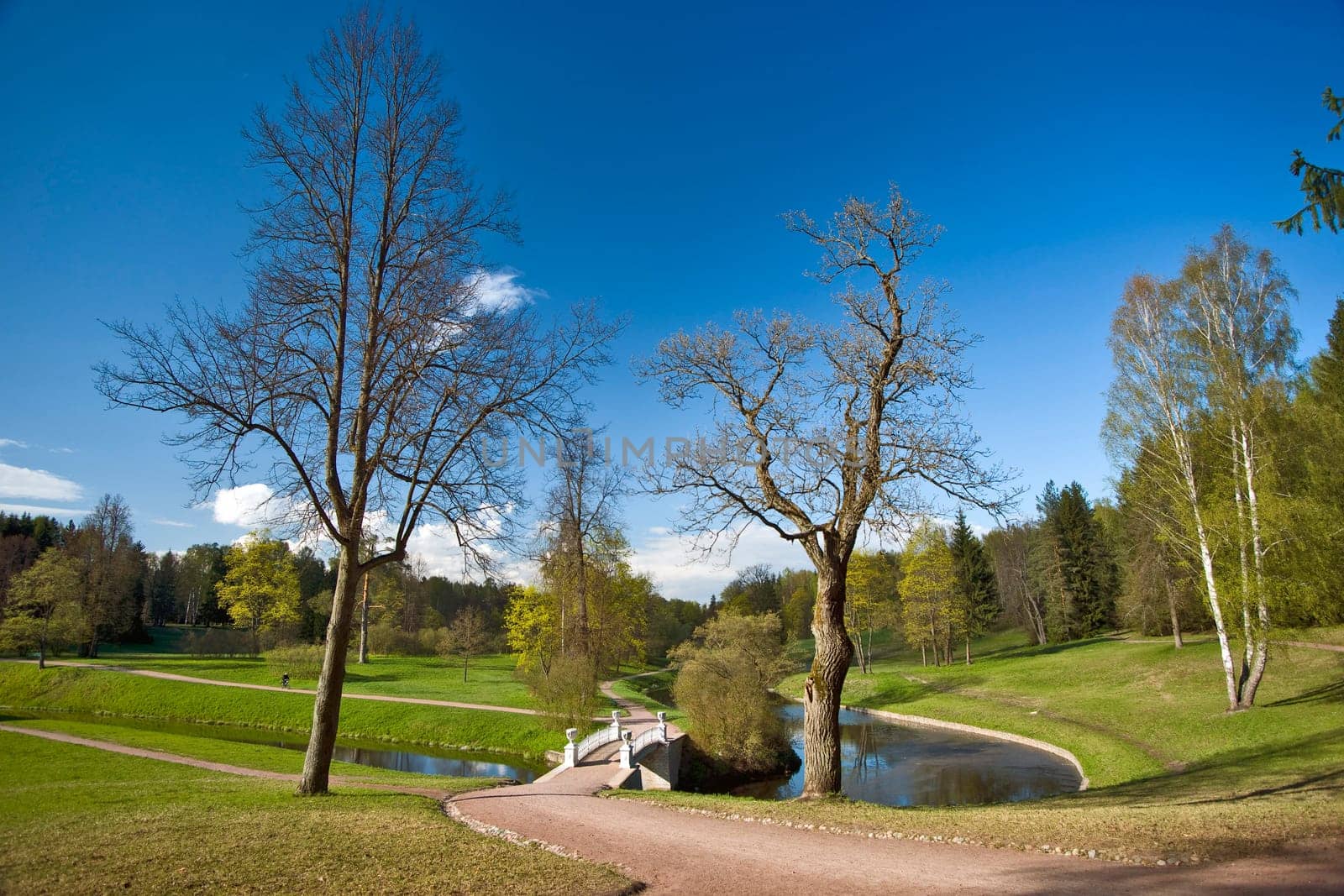 Bridge with vases and spring trees in the park