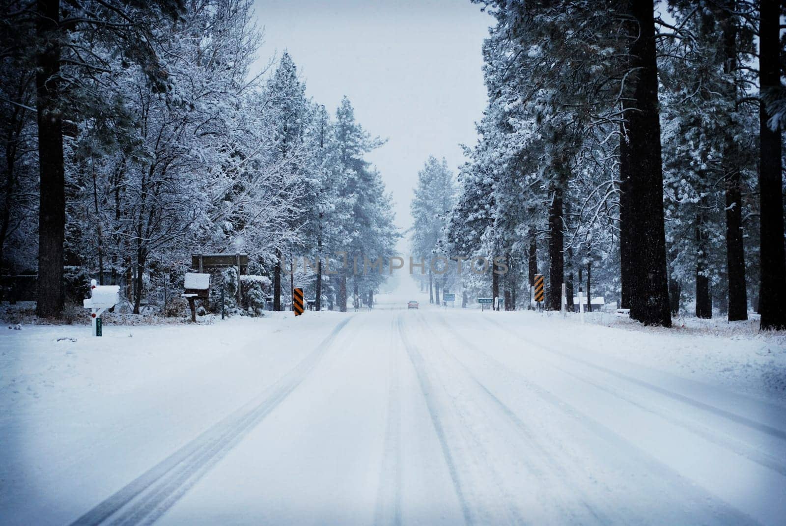 ca state hwy 74 in a snow storm