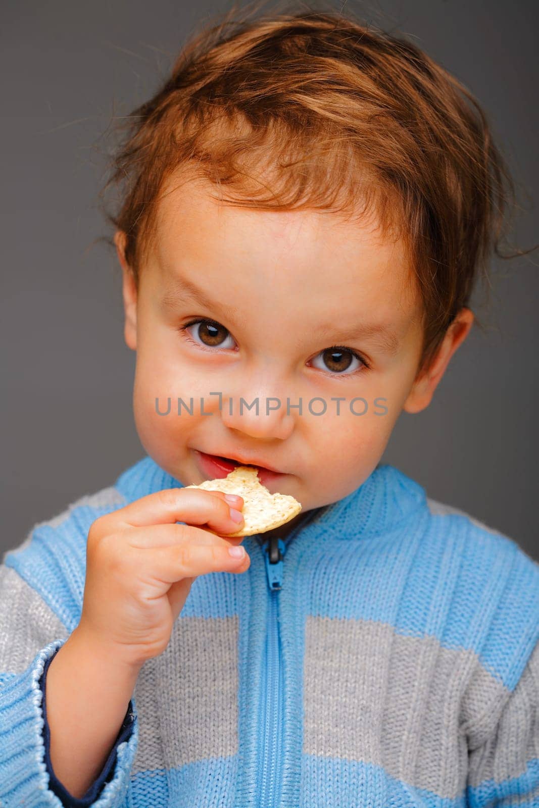 Little boy in a blue sweater eating a cookie, in studio