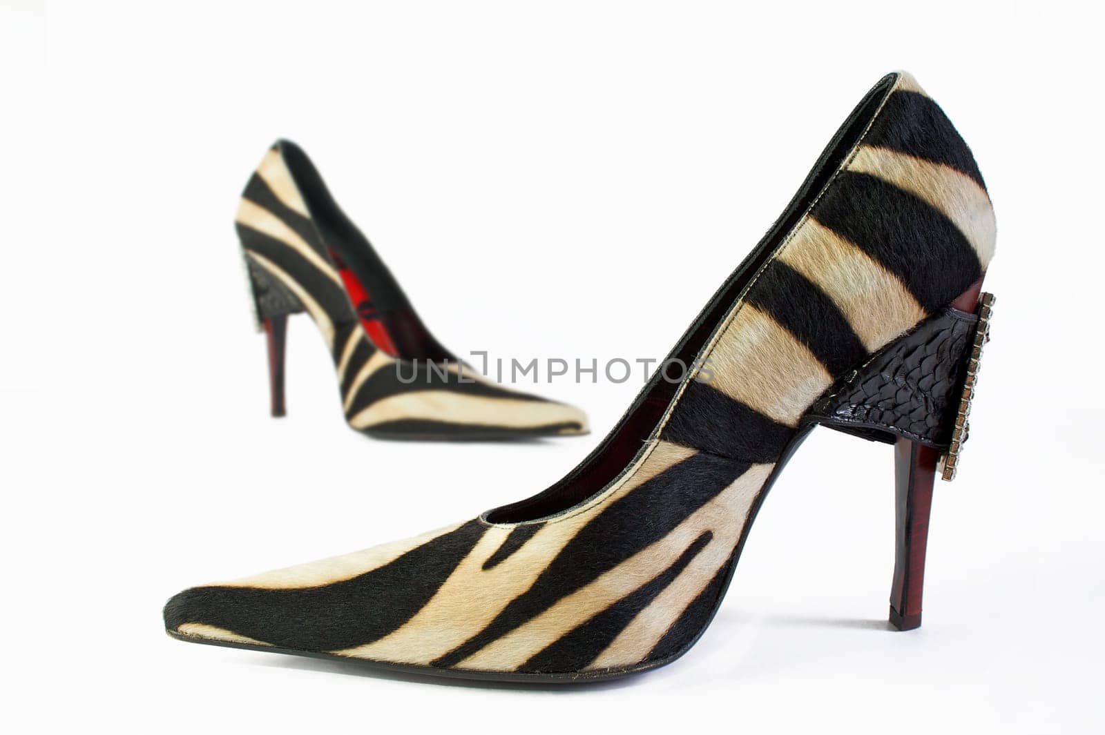 two elegance and fashion shoes on white background