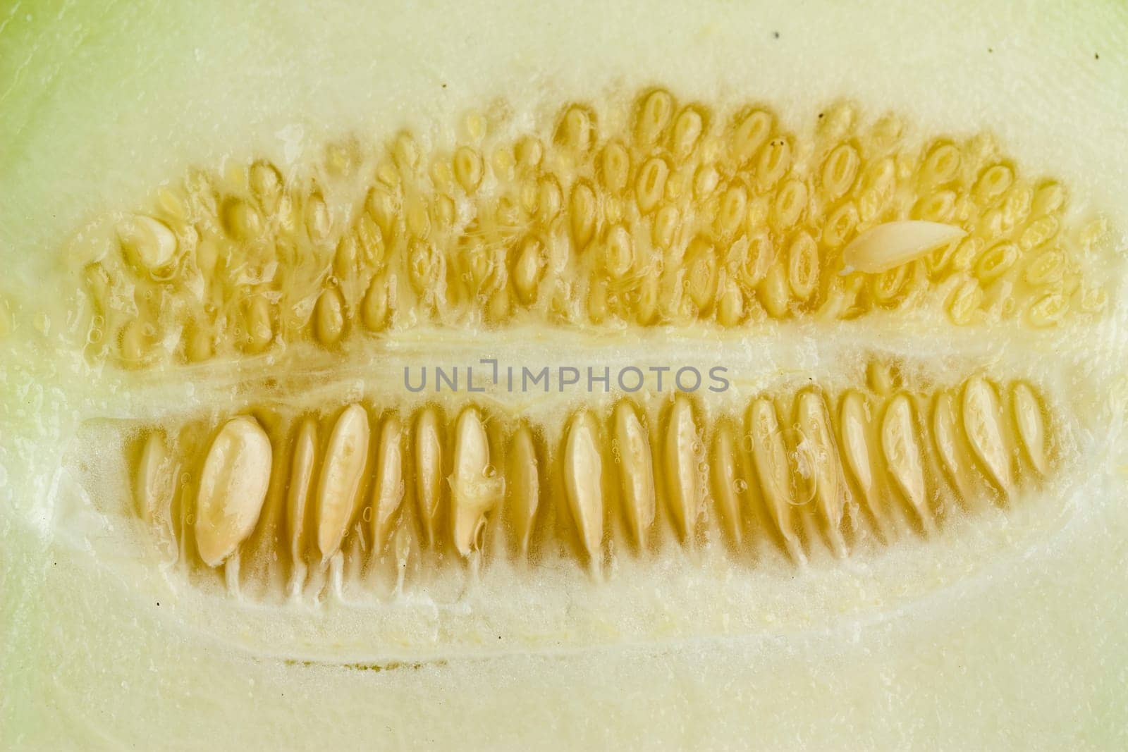 macro photo of an inside of a mellon