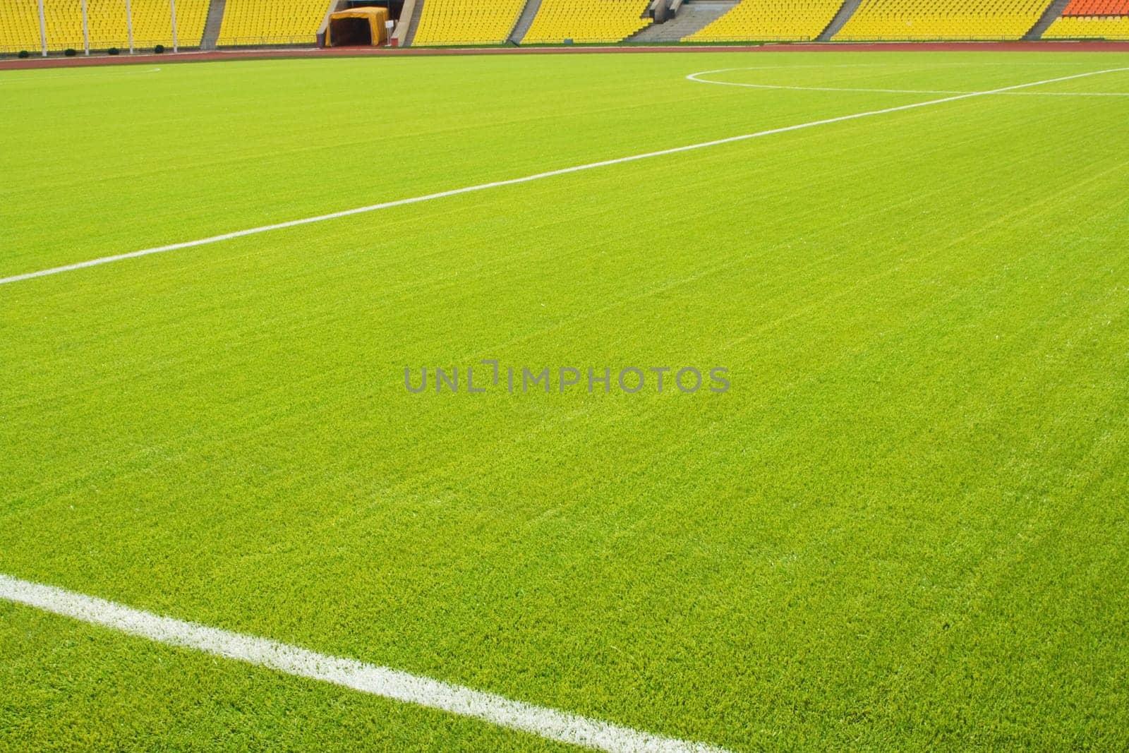 View of the green grassy artificial lawn on football/soccer field