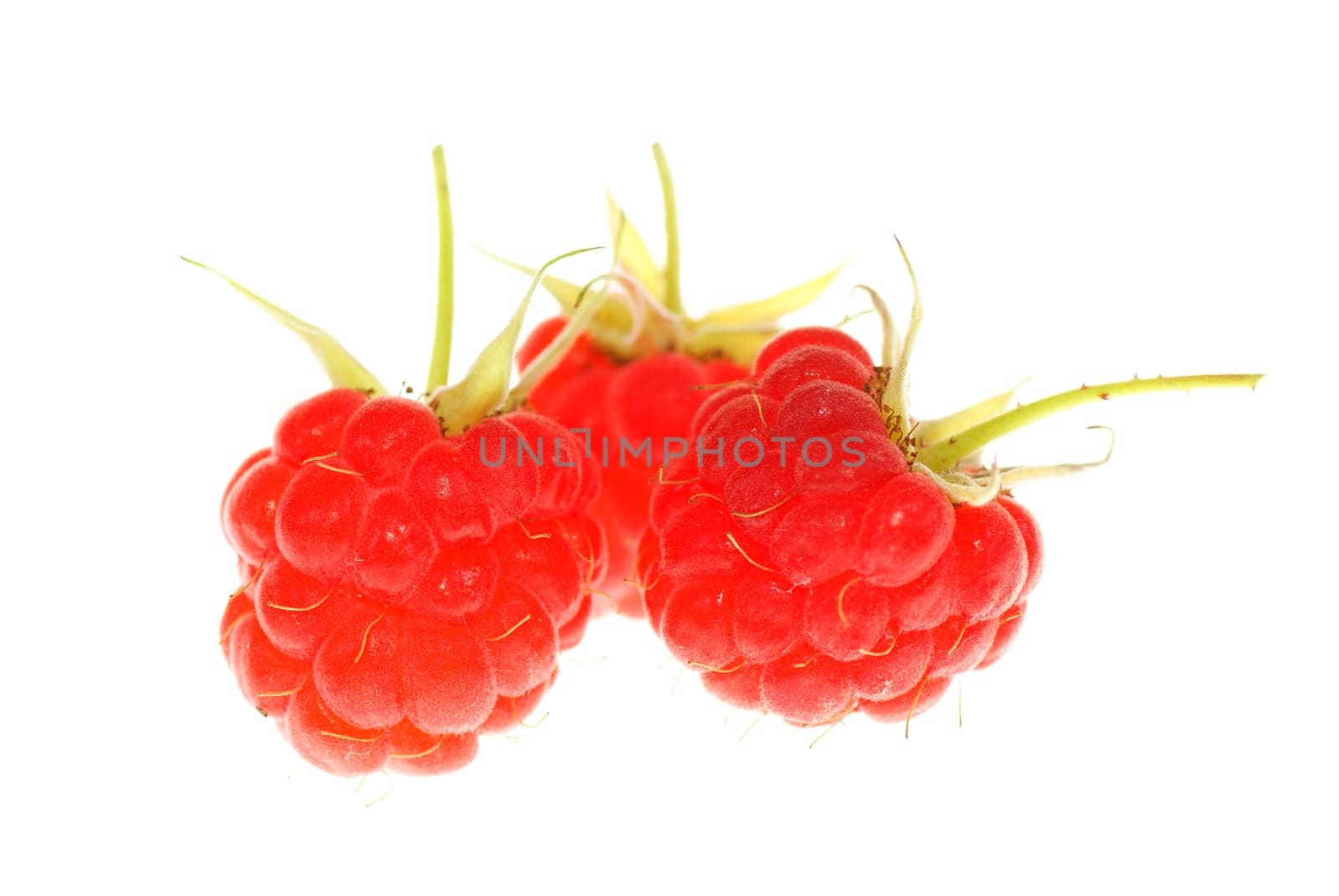 three ripe raspberry on white background