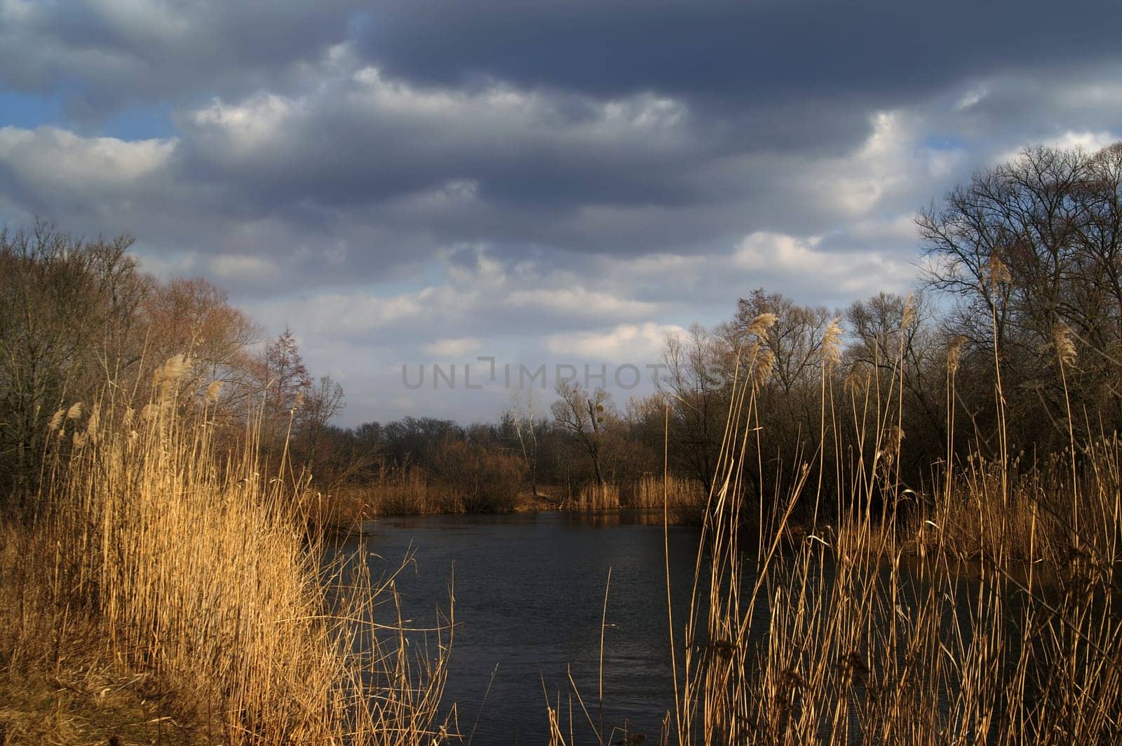 River landscape. Before the storm.