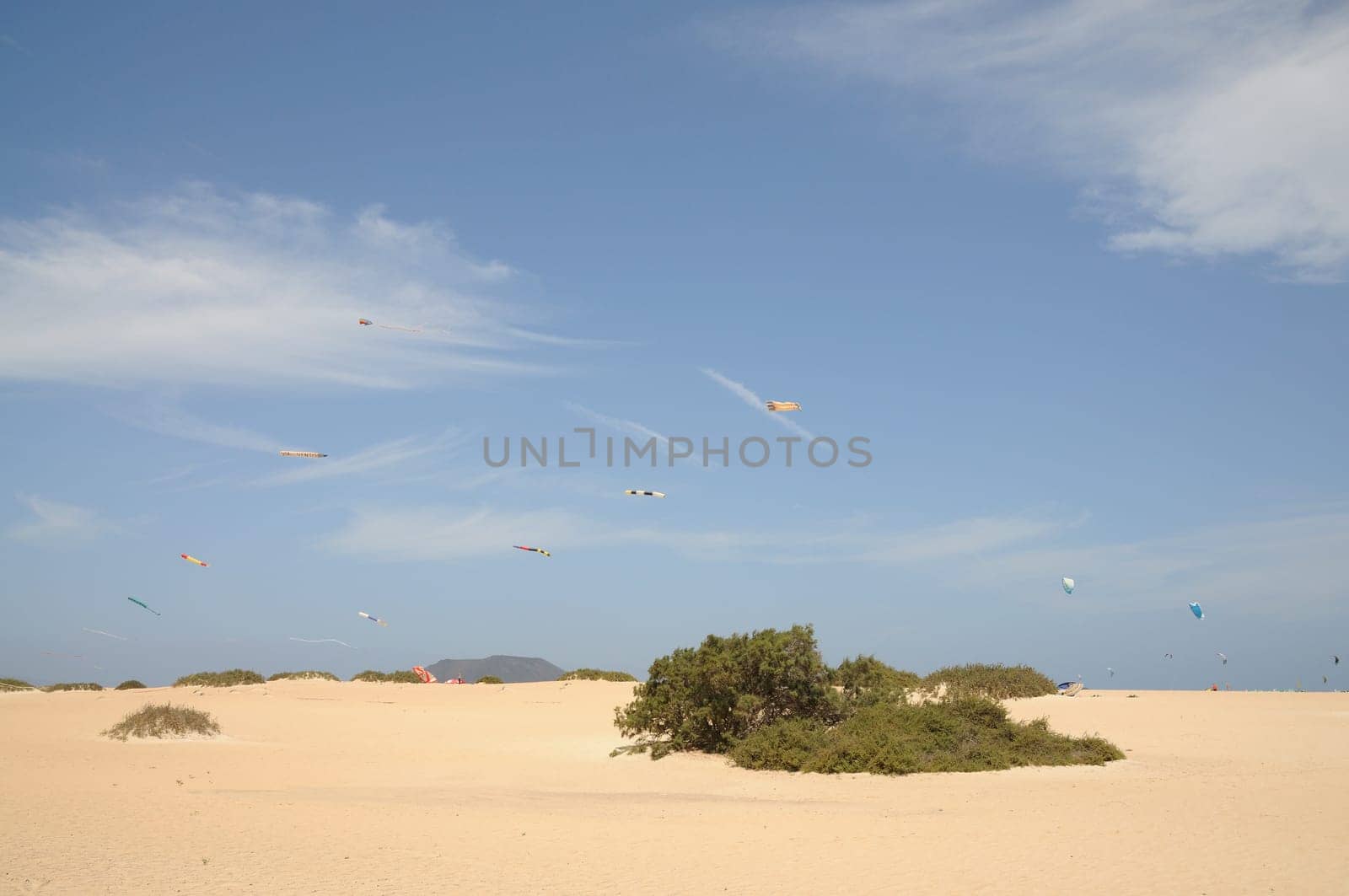 Kites at the Flagbeach in Corralejo, Canary Island Fuerteventura, Spain