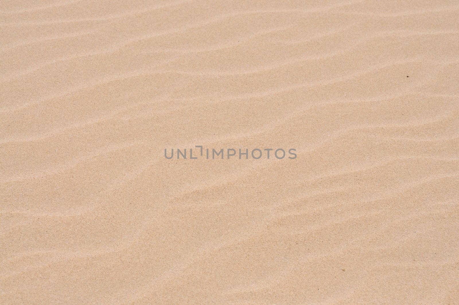 Sand dune texture
