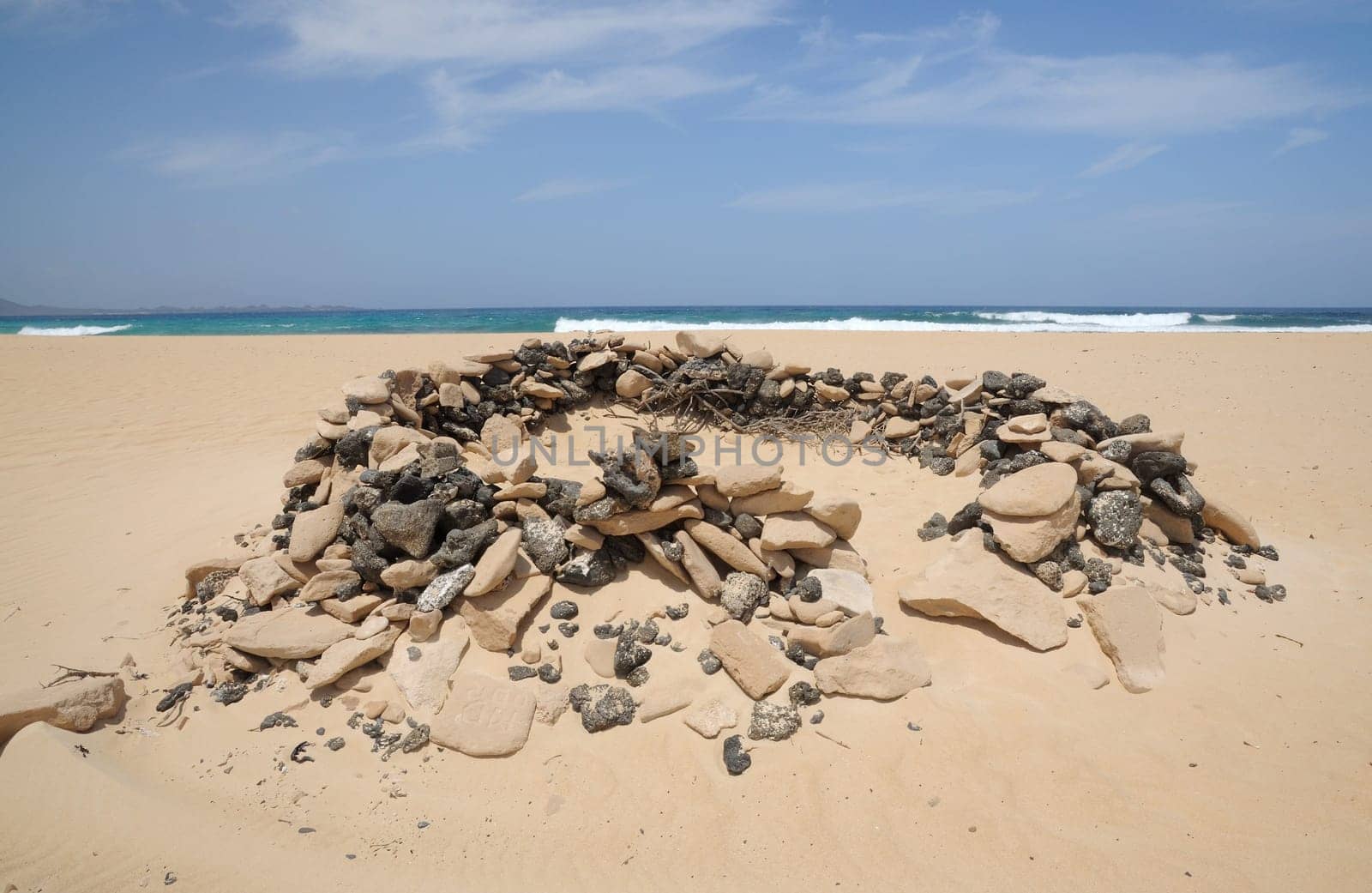 Windbreak on the beach of Fuerteventura, Spain