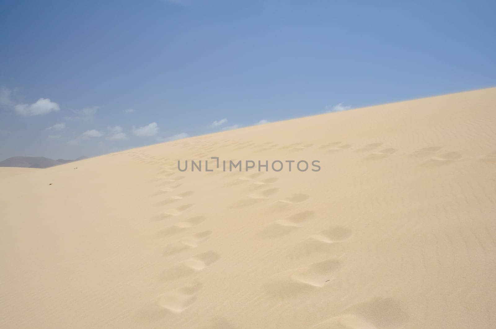 Dune at the Canary Island Fuerteventura, Spain
