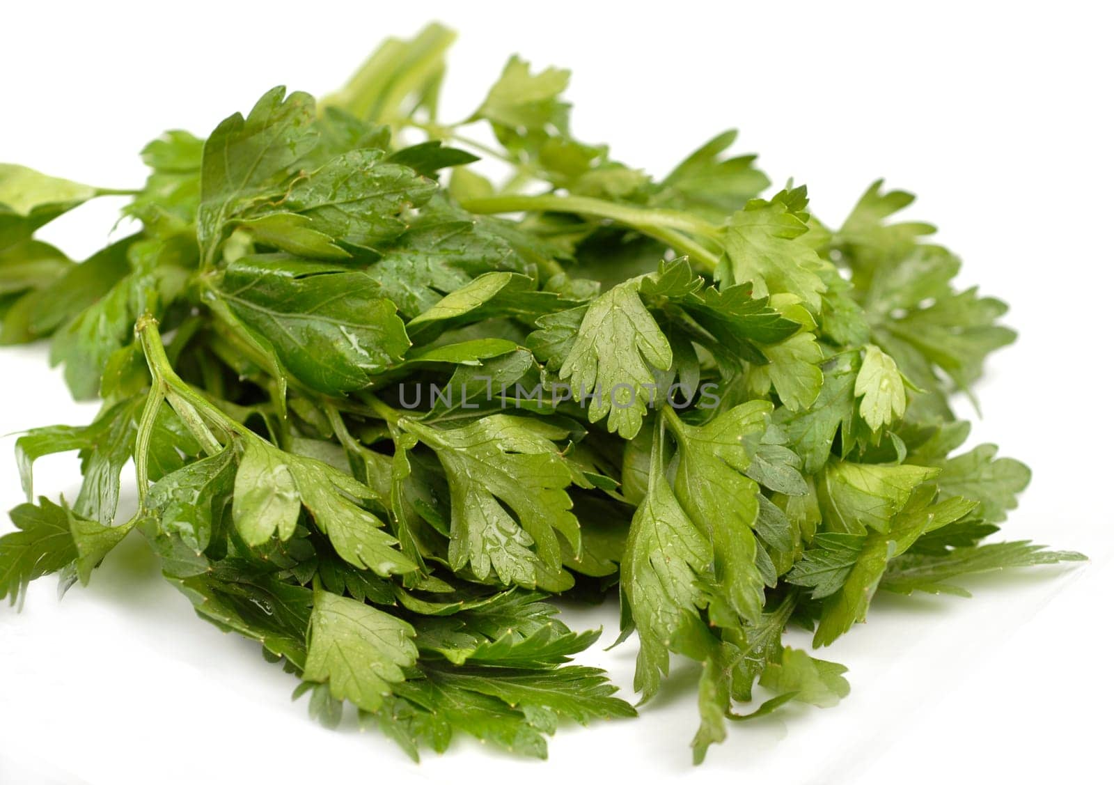 macro green fresh parsley over white