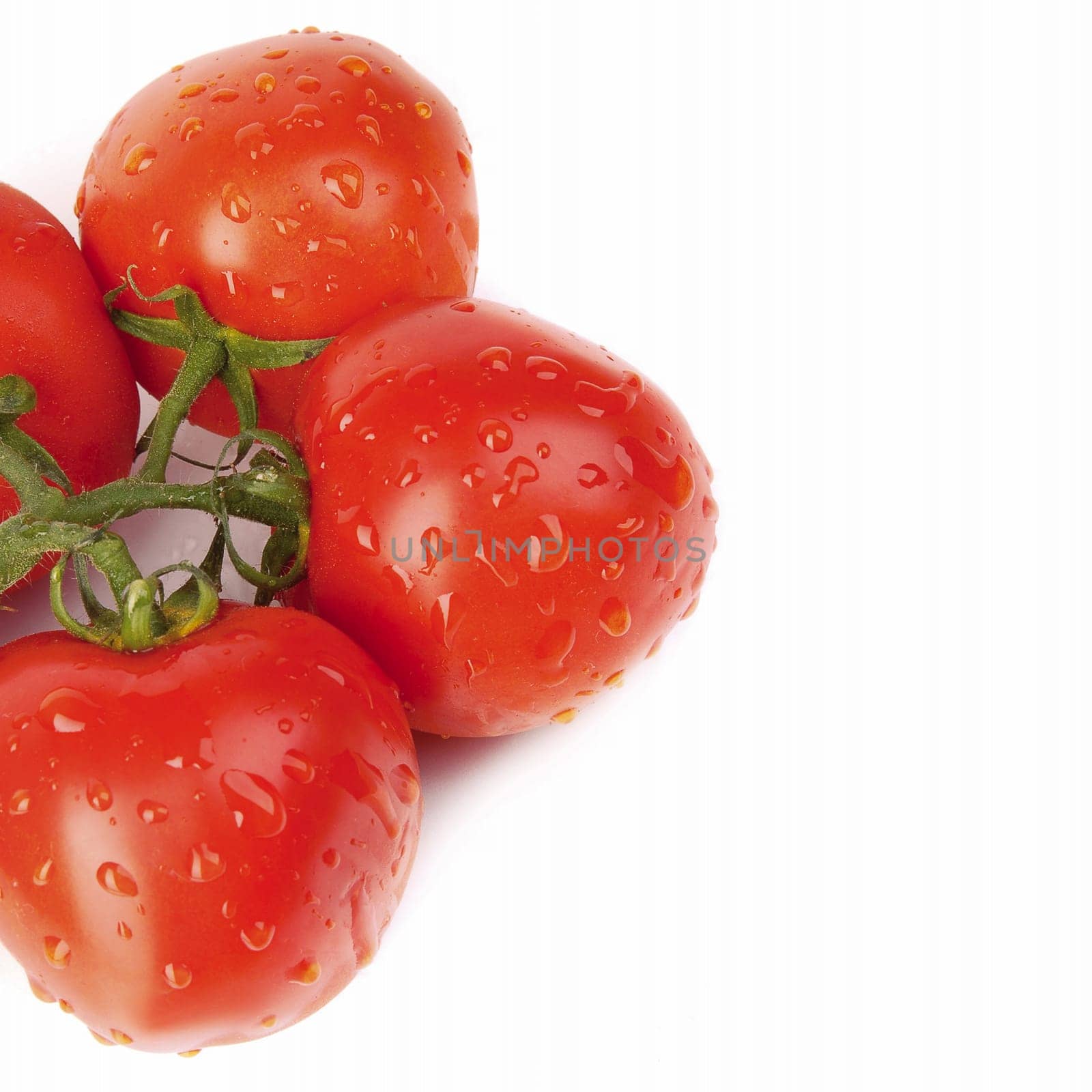 Red tomatoes with a green branch on the white background, isolated