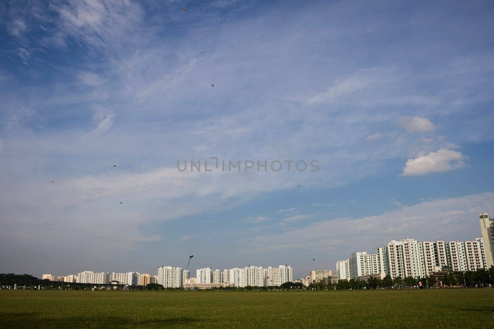 A Singapore landscape with a green grass field in front ground. People are flying kite there.