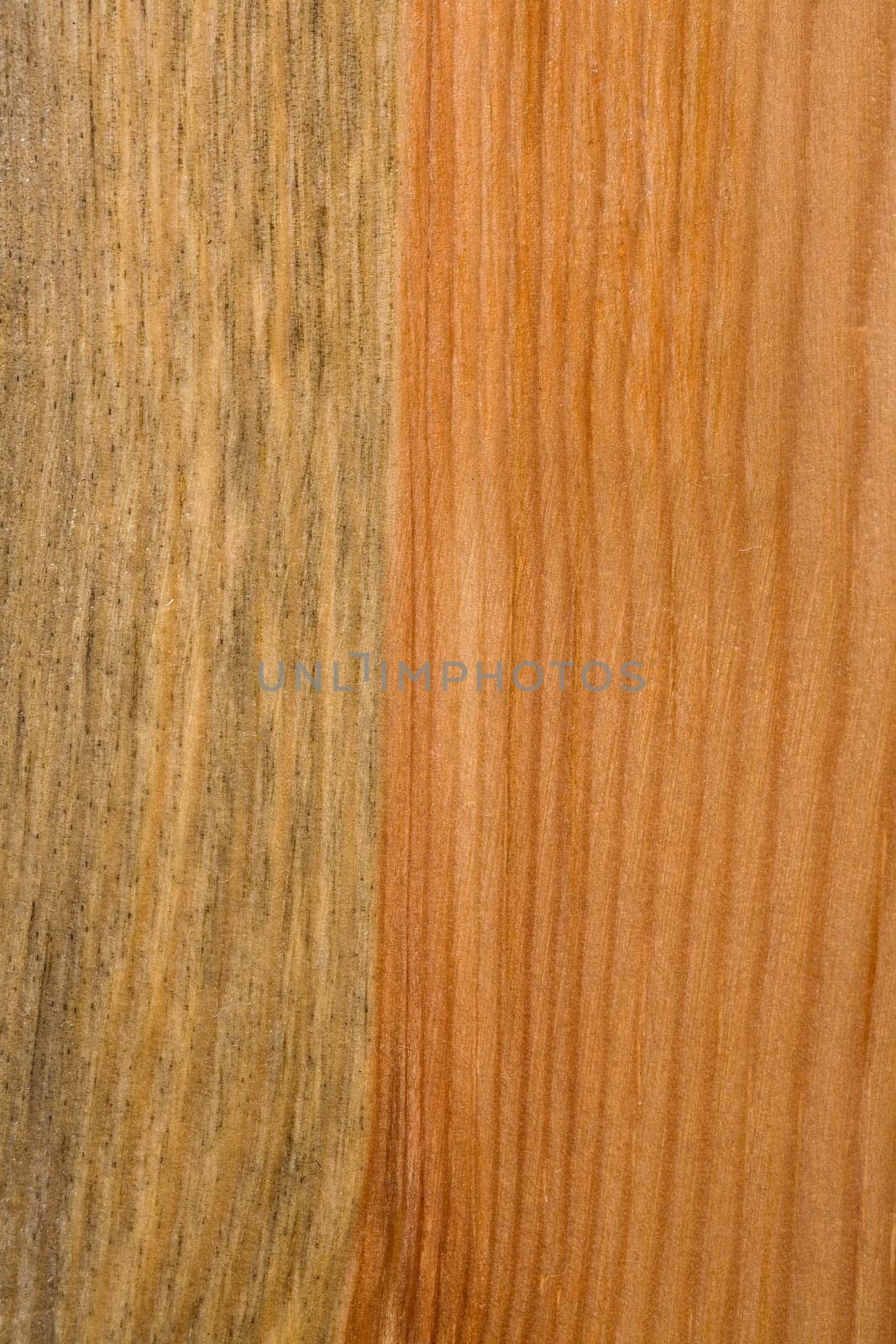 close up of wood texture background