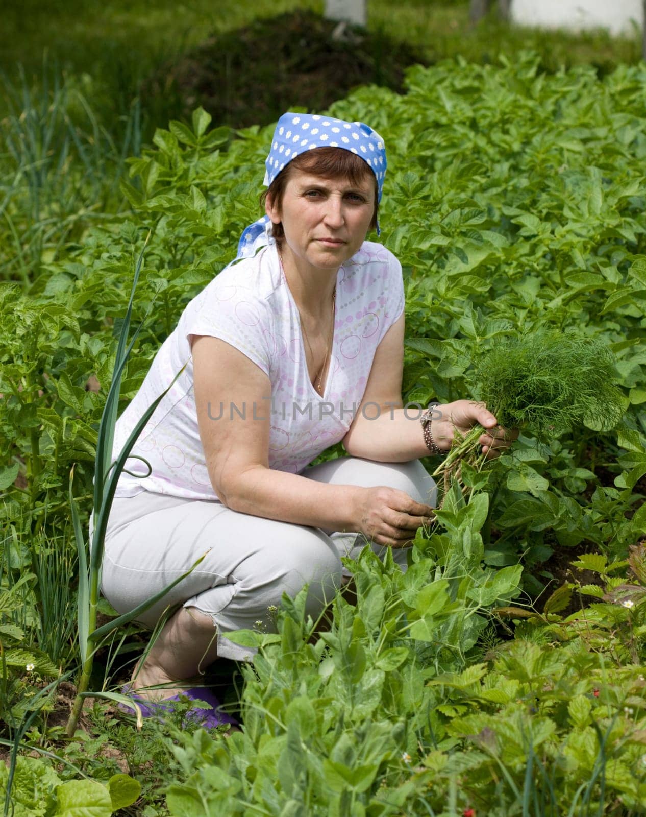 The woman reaps a crop on the bed