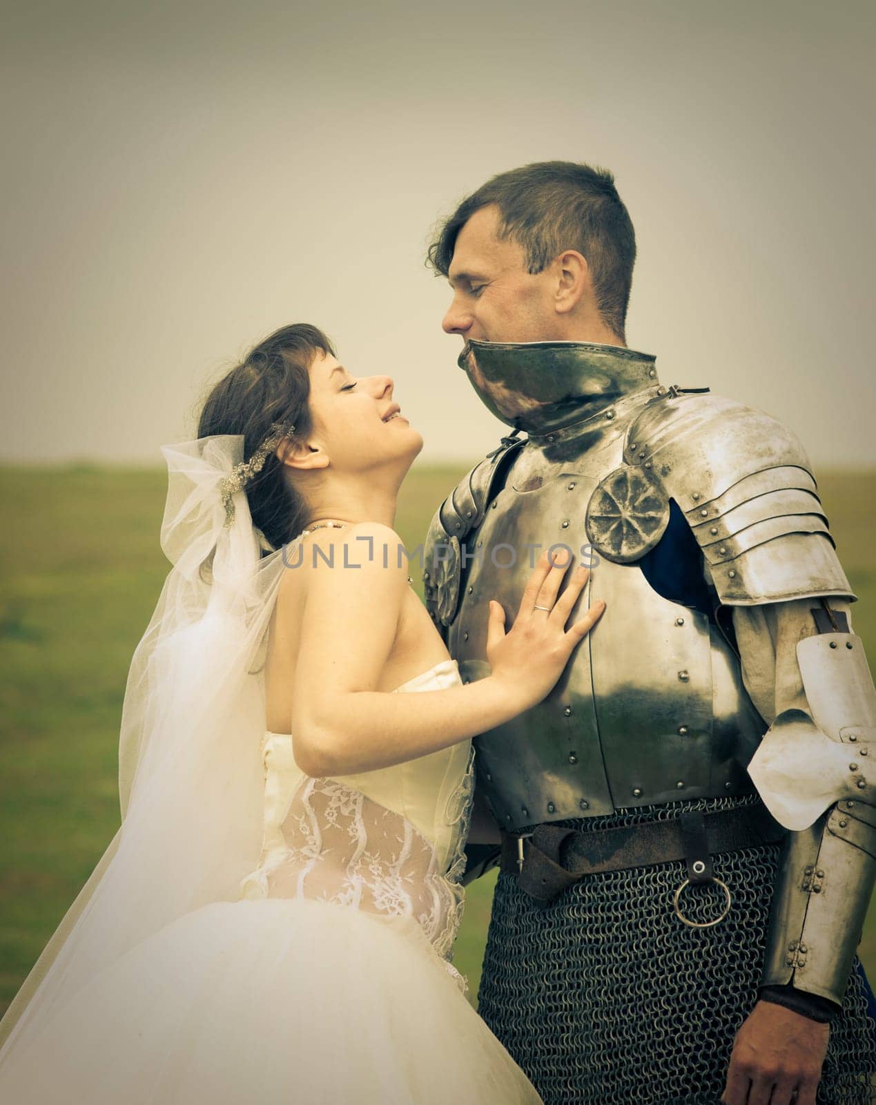long-awaited meeting / Princess Bride and her knight / retro style toned