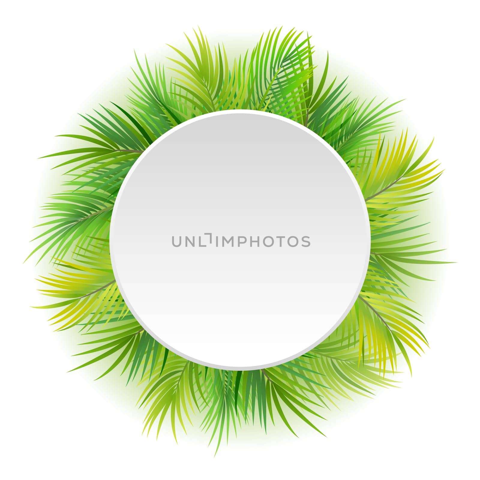Tropical green palm leaves with white round frame place for text isolated on white background