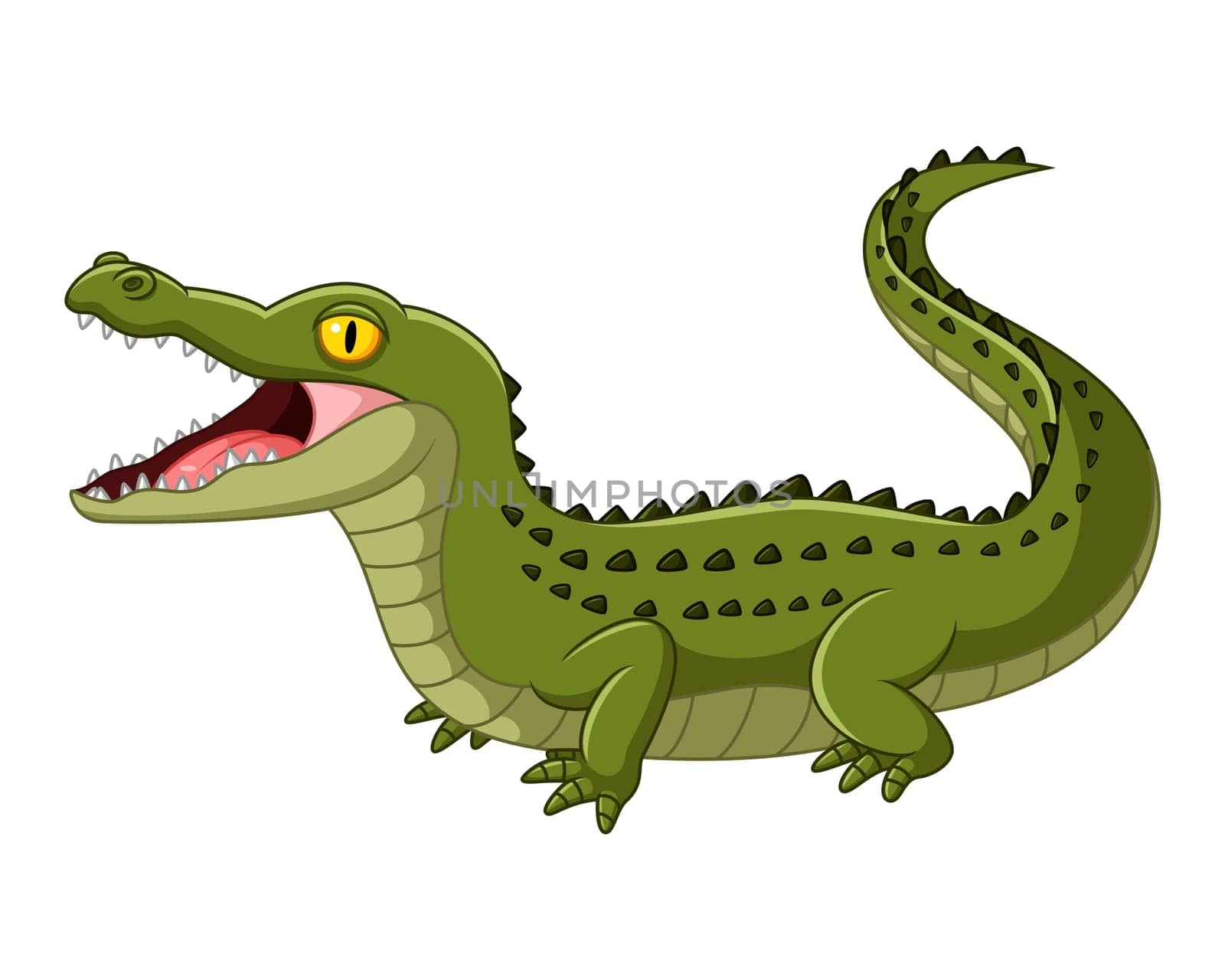 Crocodile open mouth