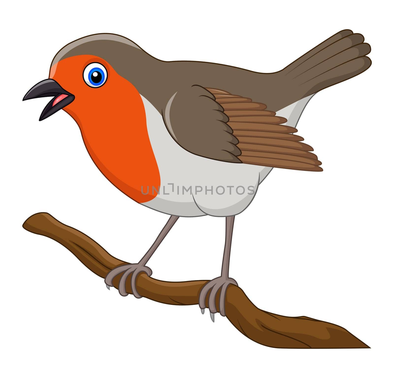Cartoon beautiful robin bird