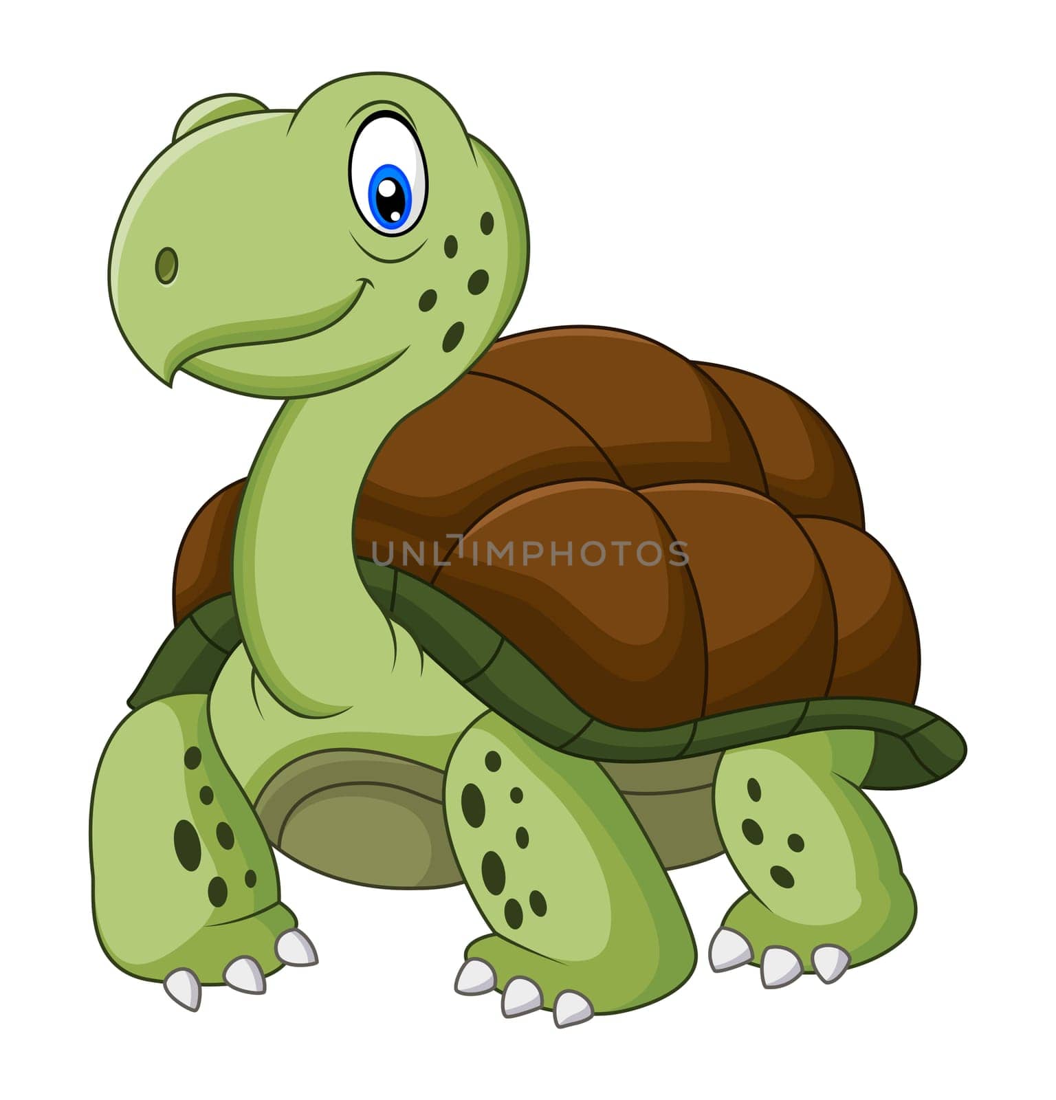 Funny turtle cartoon