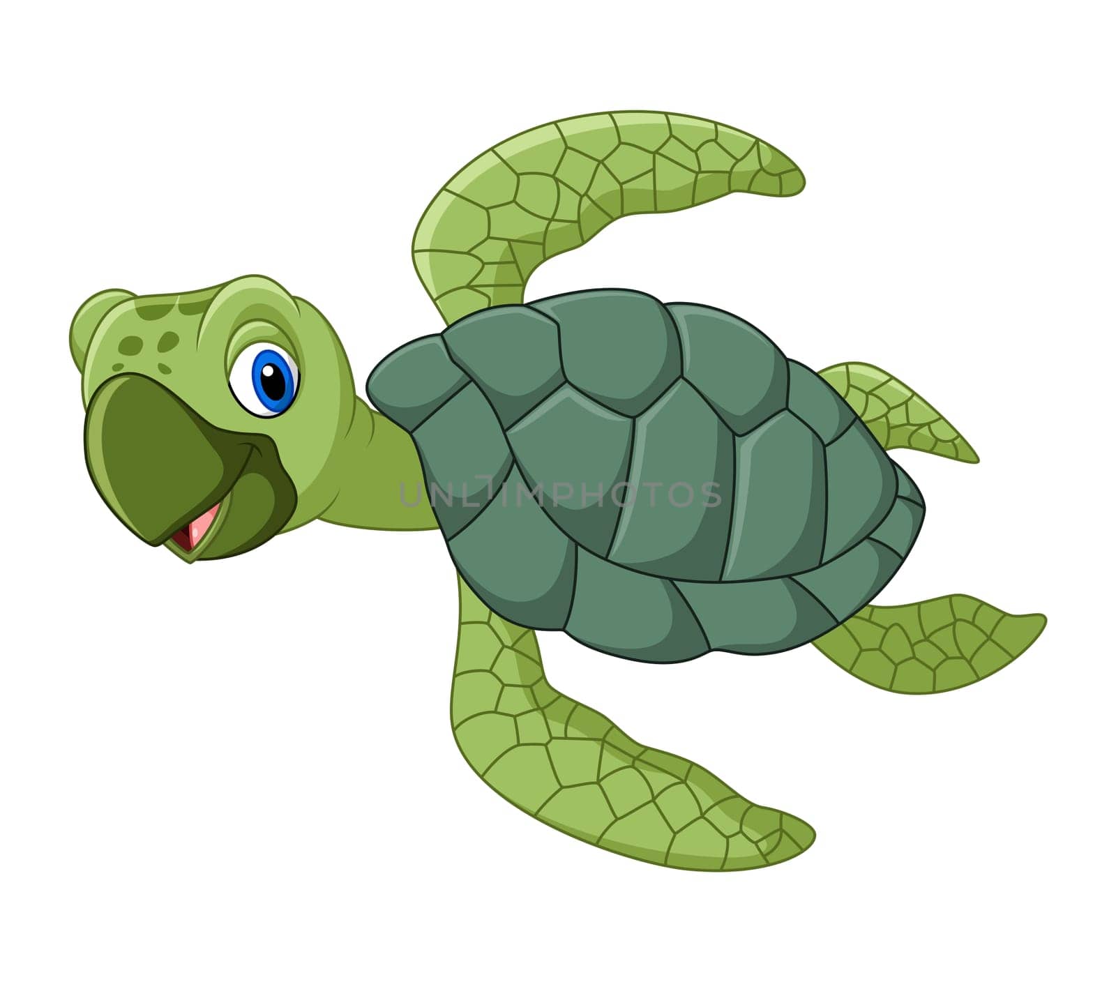 Cute turtle cartoon