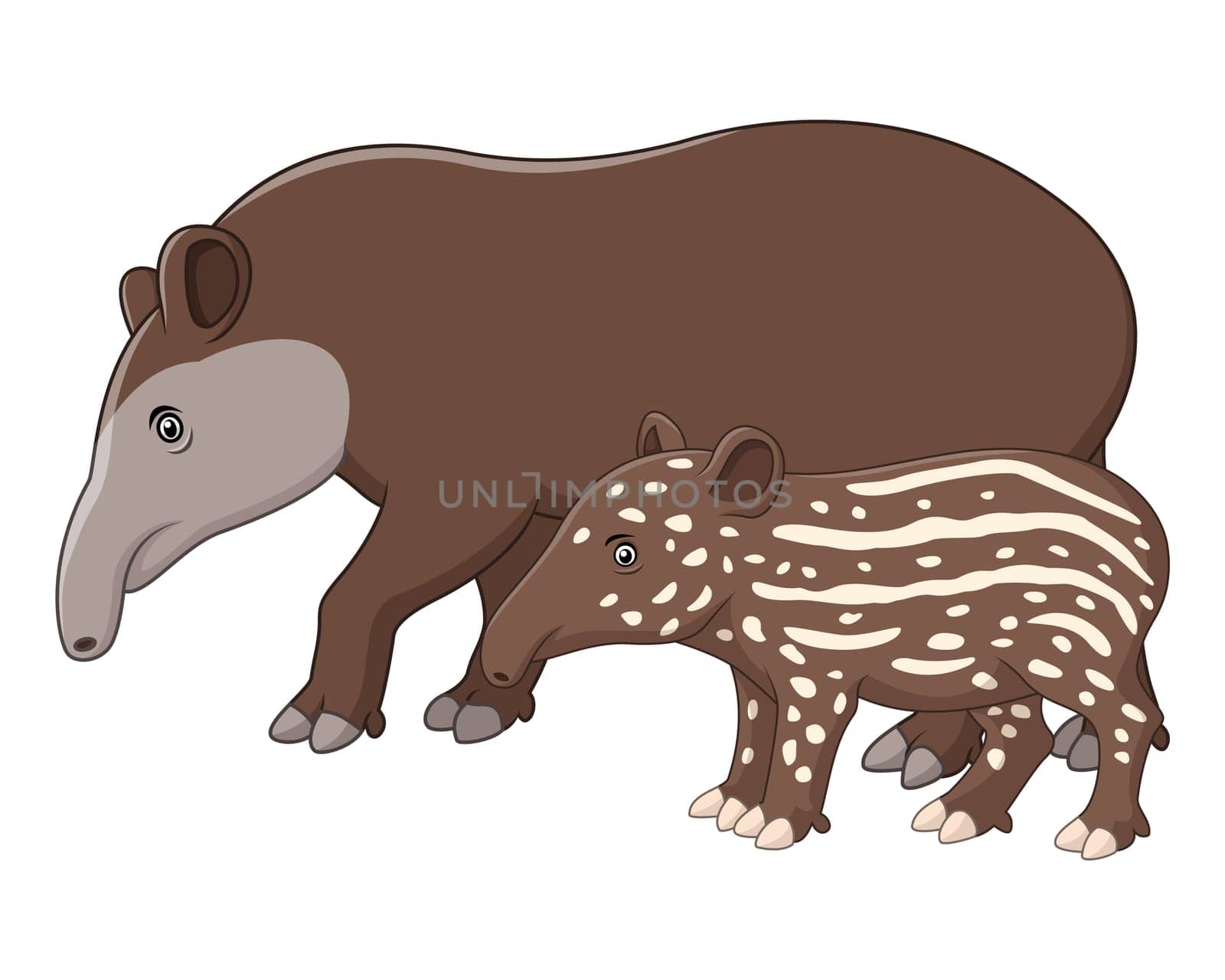 Mother and baby tapir