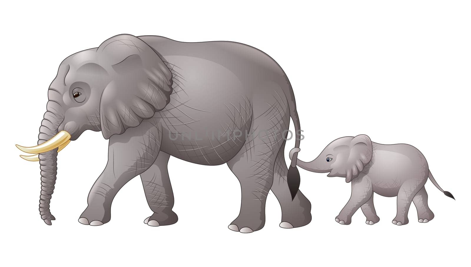 Cute mother and baby elephant