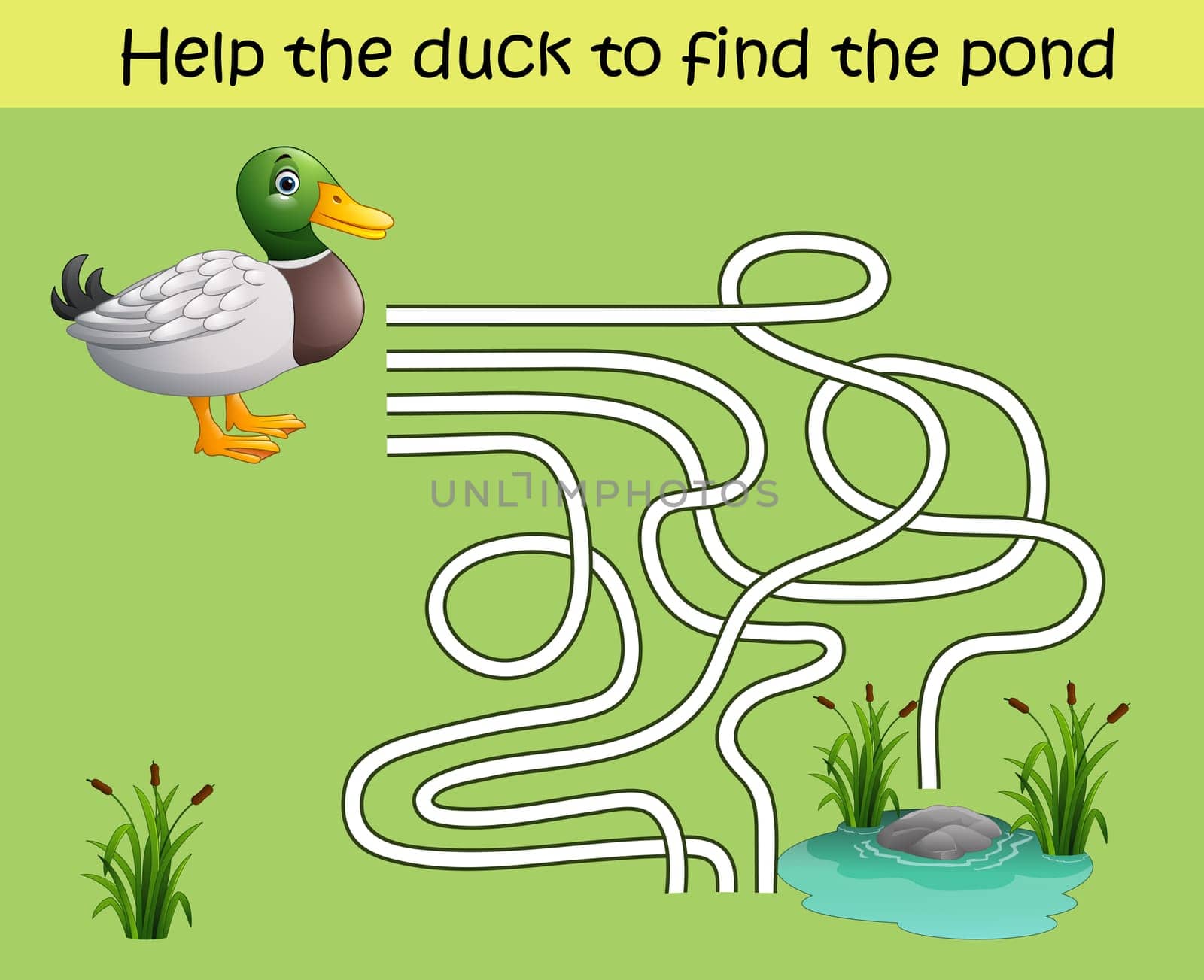 Maze game, help the duck to find the pond