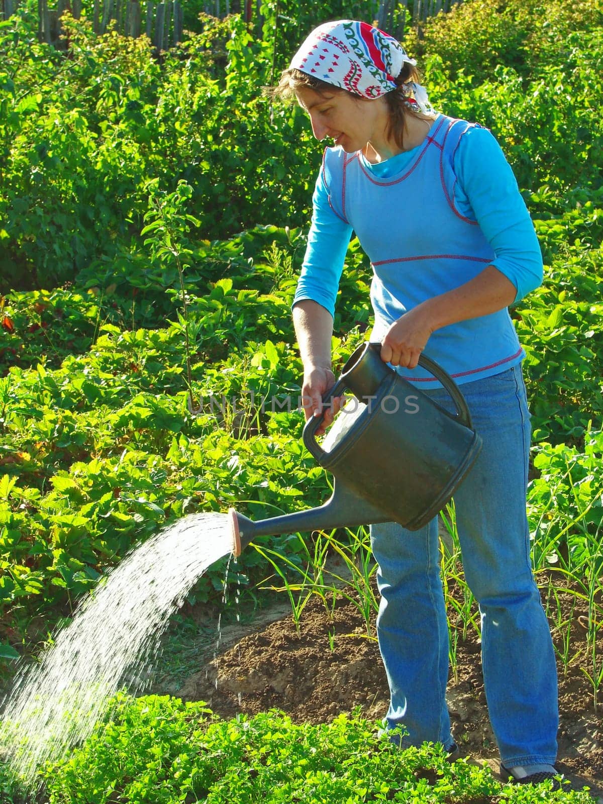 woman watering vegetable bed at the rural farm
