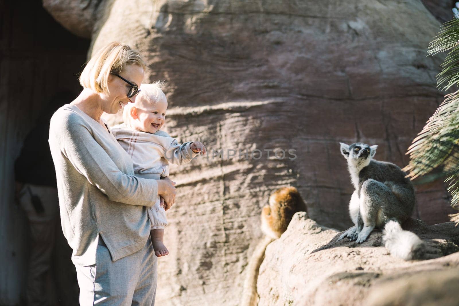 Caucasian blonde mother holding her infant baby boy child in her lap watching ring-tailed lemur in zoo. Happy family having fun with animals in safari park on warm spring day