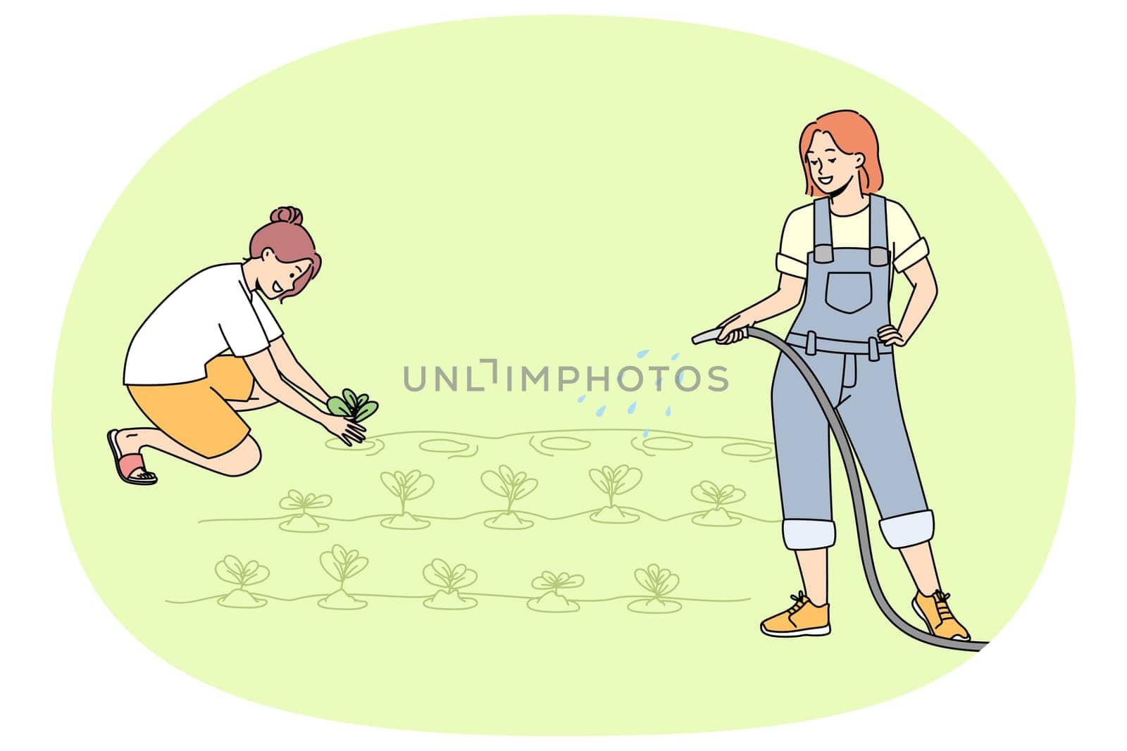 Young women working in garden watering plants together. Female cartoon characters involved in farming or agriculture at plantation. Vector illustration.