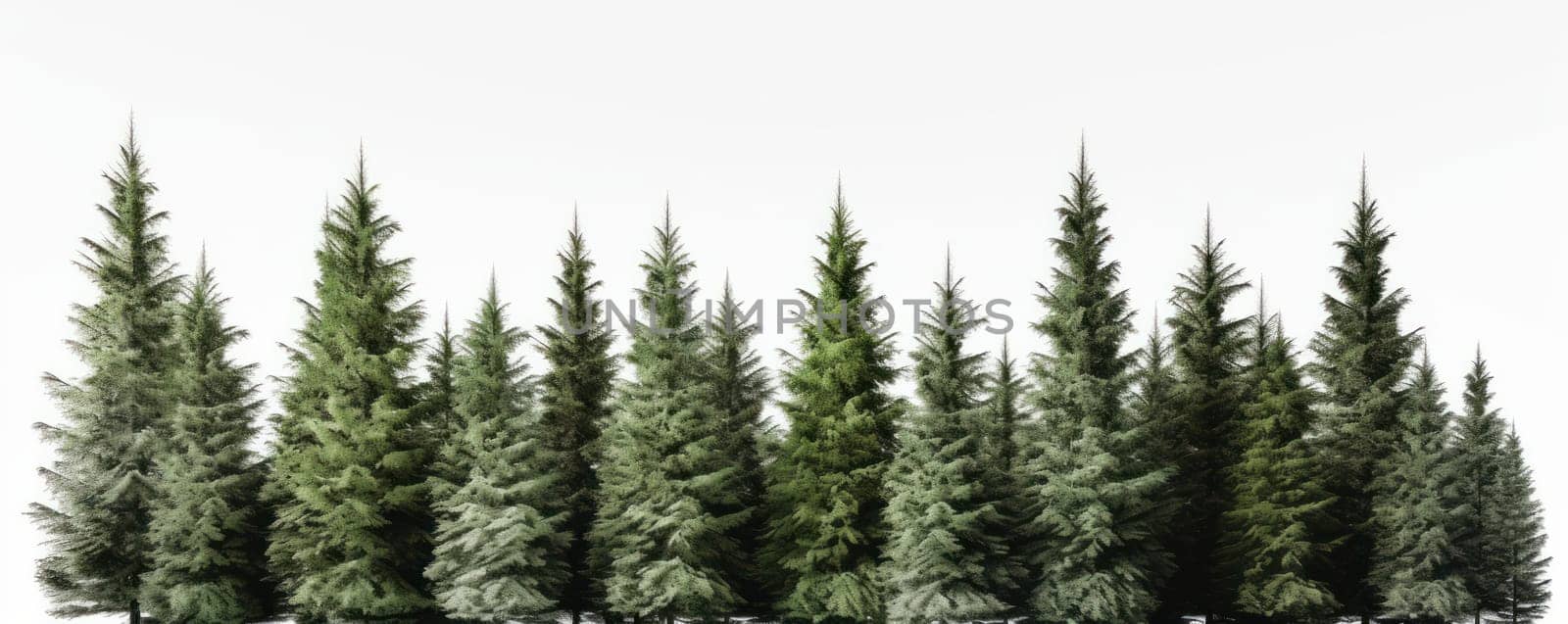 A serene winter forest scene with a row of snow-covered trees on a white background is AI Generative.