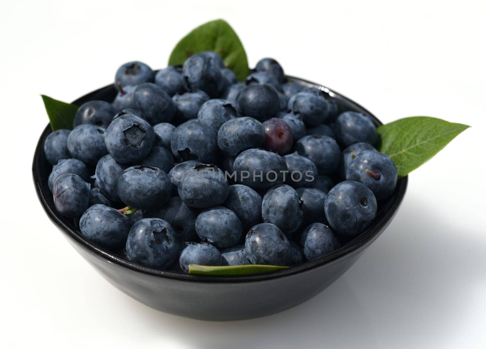 Blueberries or blueberries,vaccinium,myrtillus,is a tasty berry plant with blue berries. Bilberry or bilberry,vaccinium myrtillus,is a tasty berry plant with blue berries.