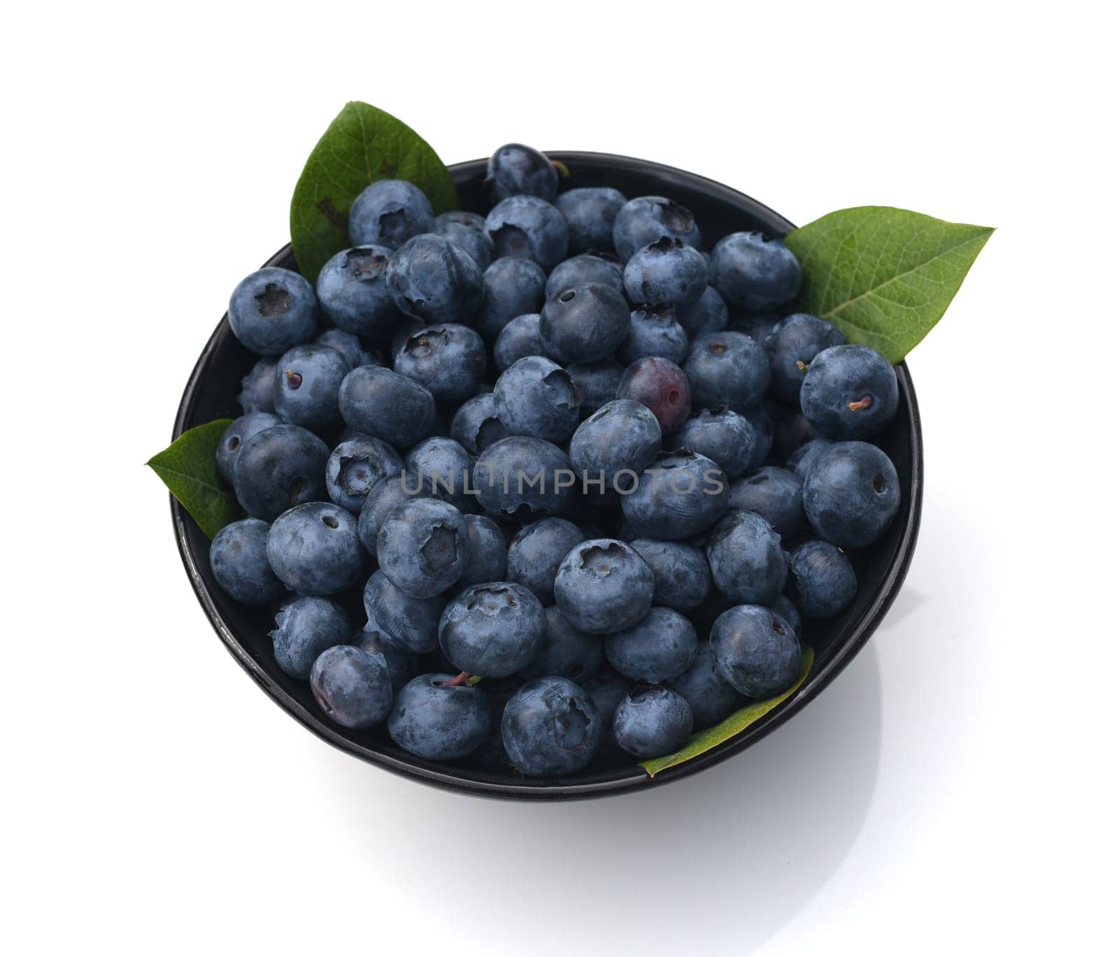 Blueberries or blueberries,vaccinium,myrtillus,is a tasty berry plant with blue berries. Bilberry or bilberry,vaccinium myrtillus,is a tasty berry plant with blue berries.